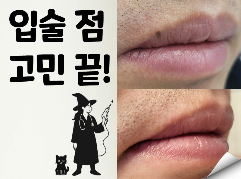 d9df4c351ed87.png