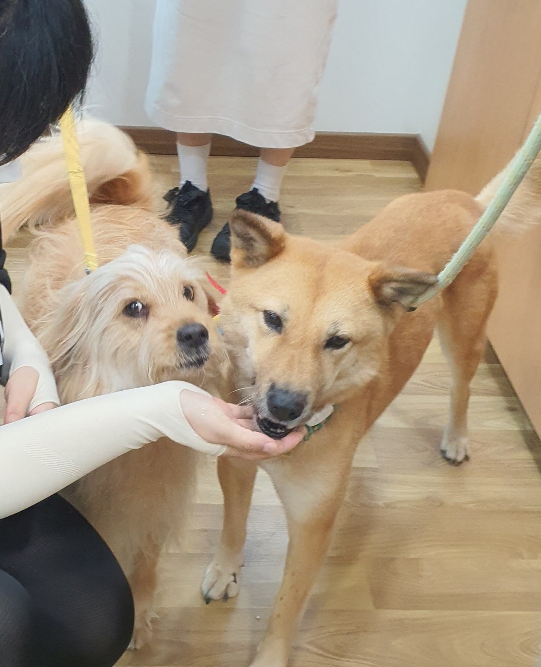 KakaoTalk_20260620_154744644_01.jpg