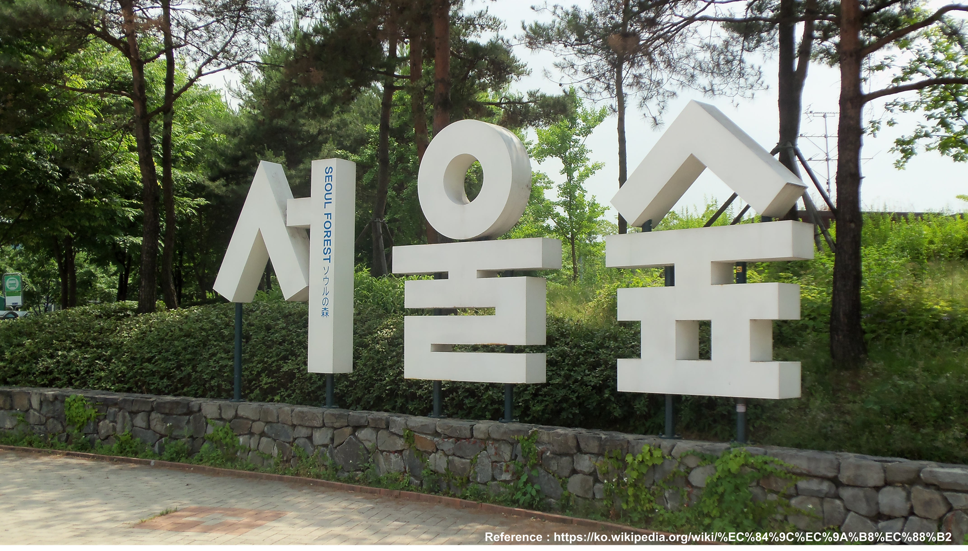 893f8b2206c29.png