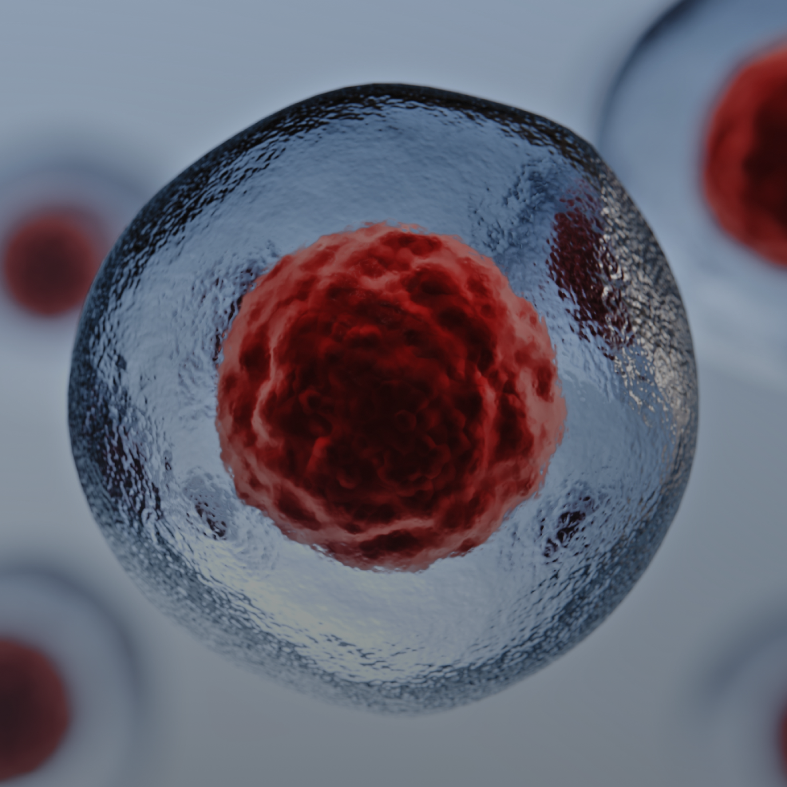 イナCell P