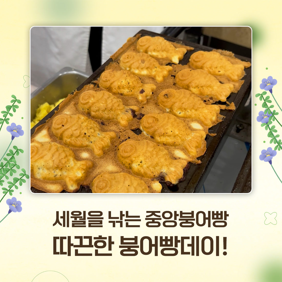 f2927adf628f3.png