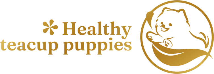 healthy teacup puppies