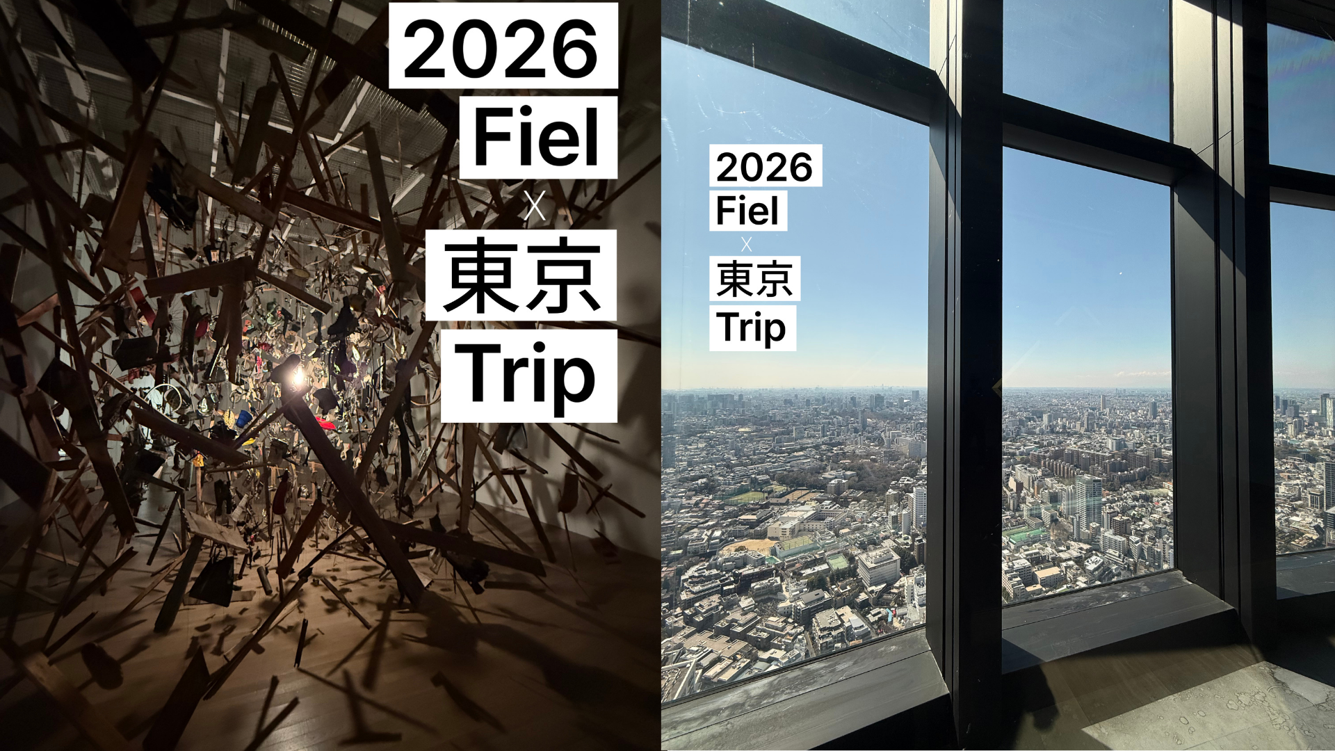 b758f51e93ca6.png