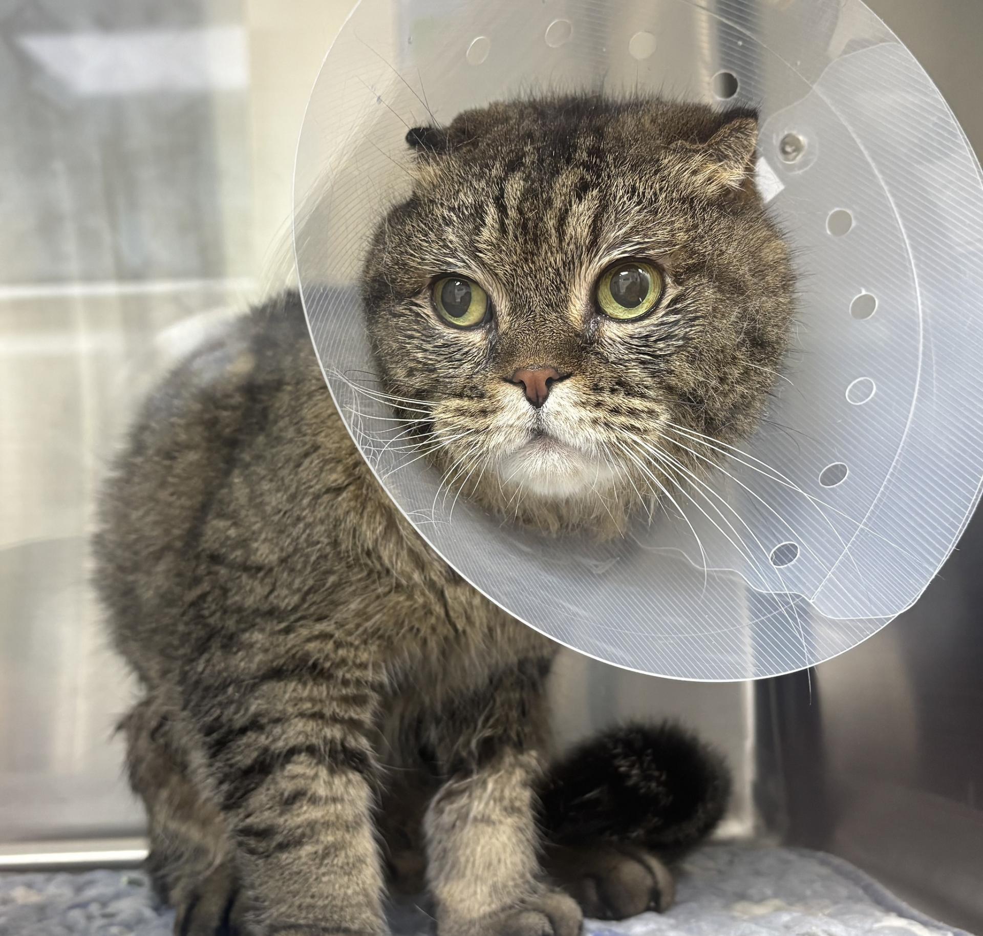 다운로드.jpg