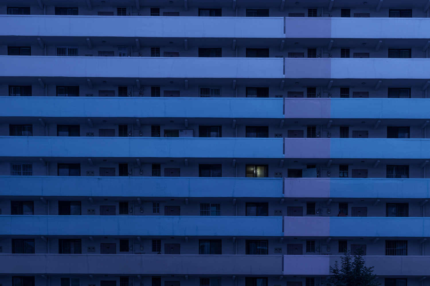 2022 작품1