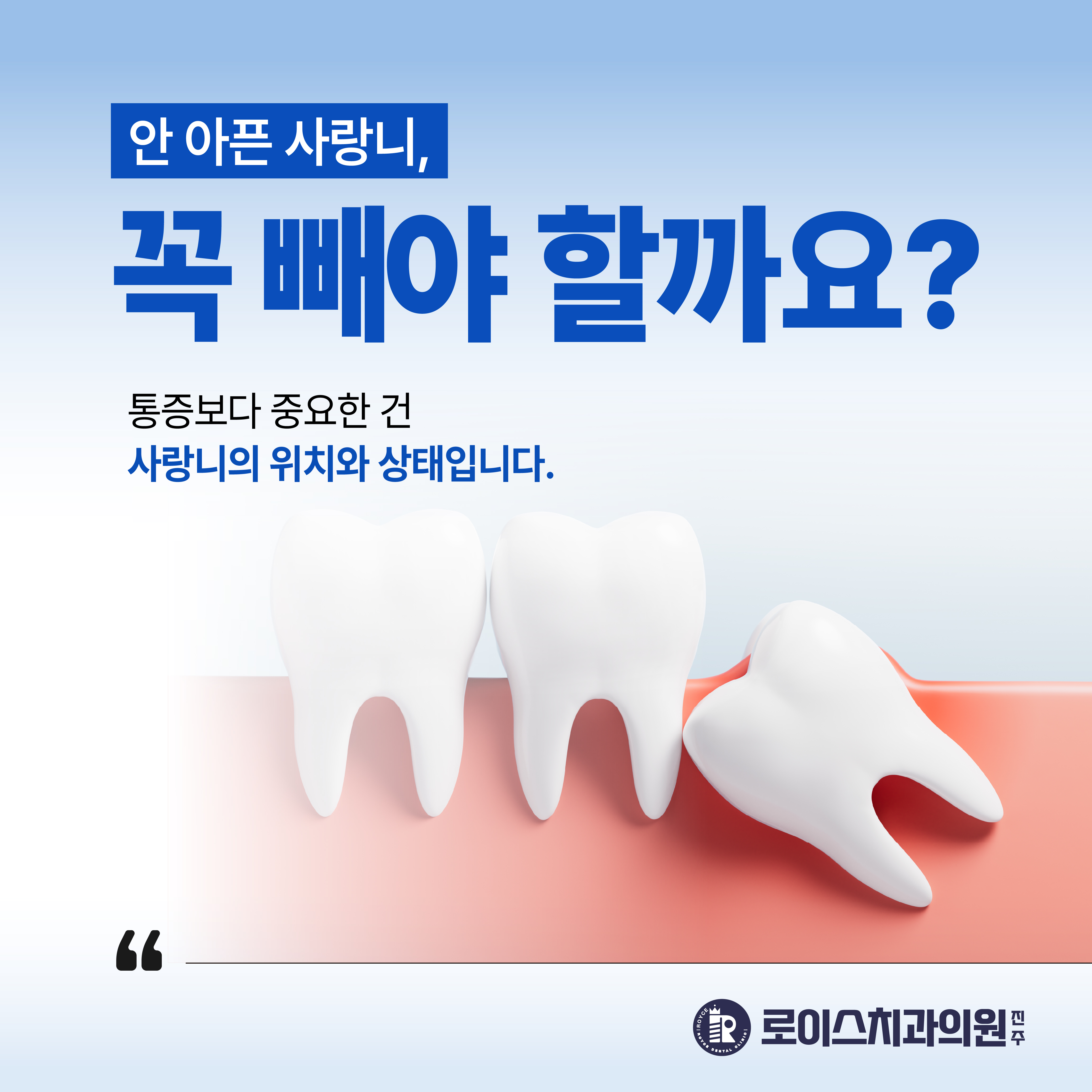 3c868c26584ce.jpg