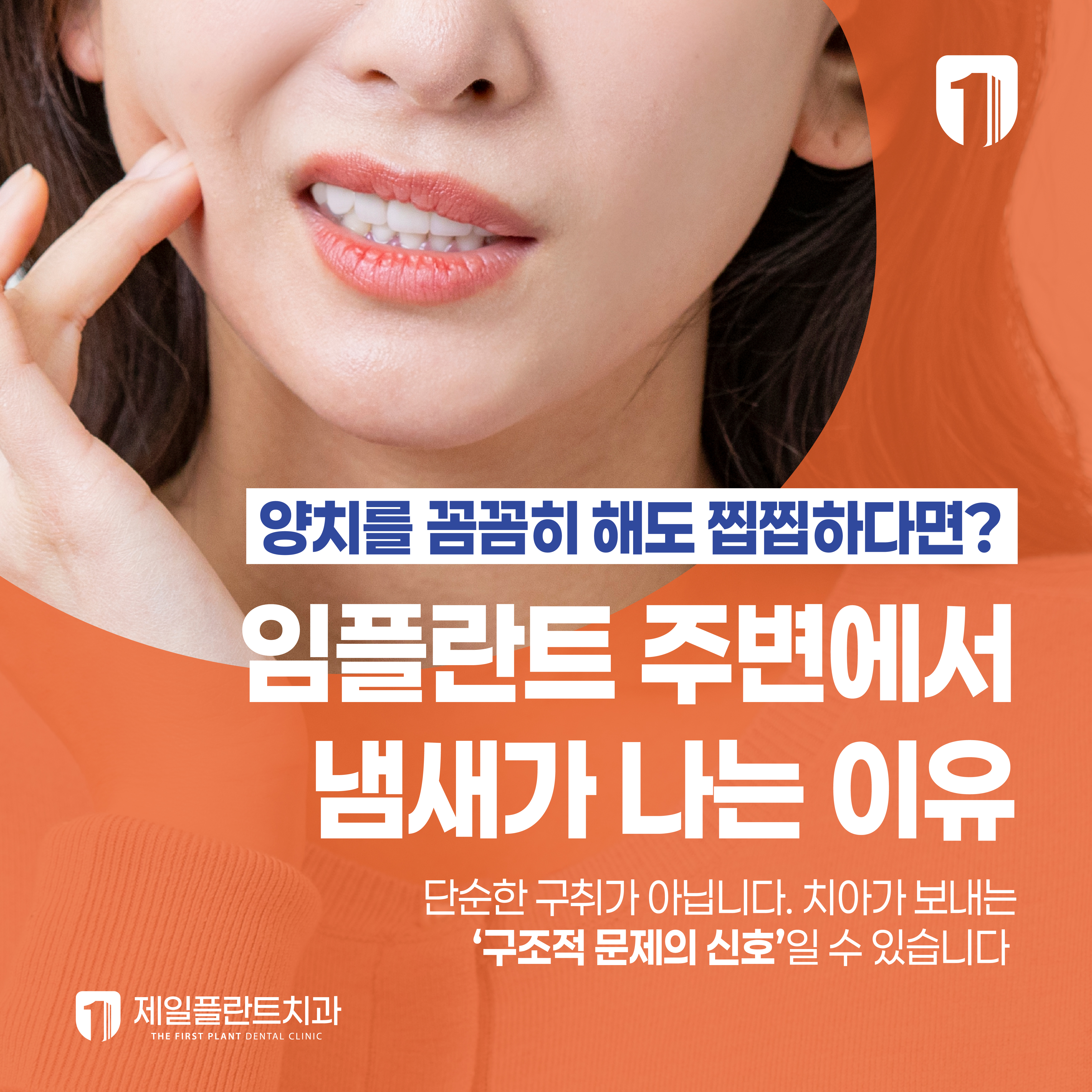 7a51c09f1ddc0.jpg