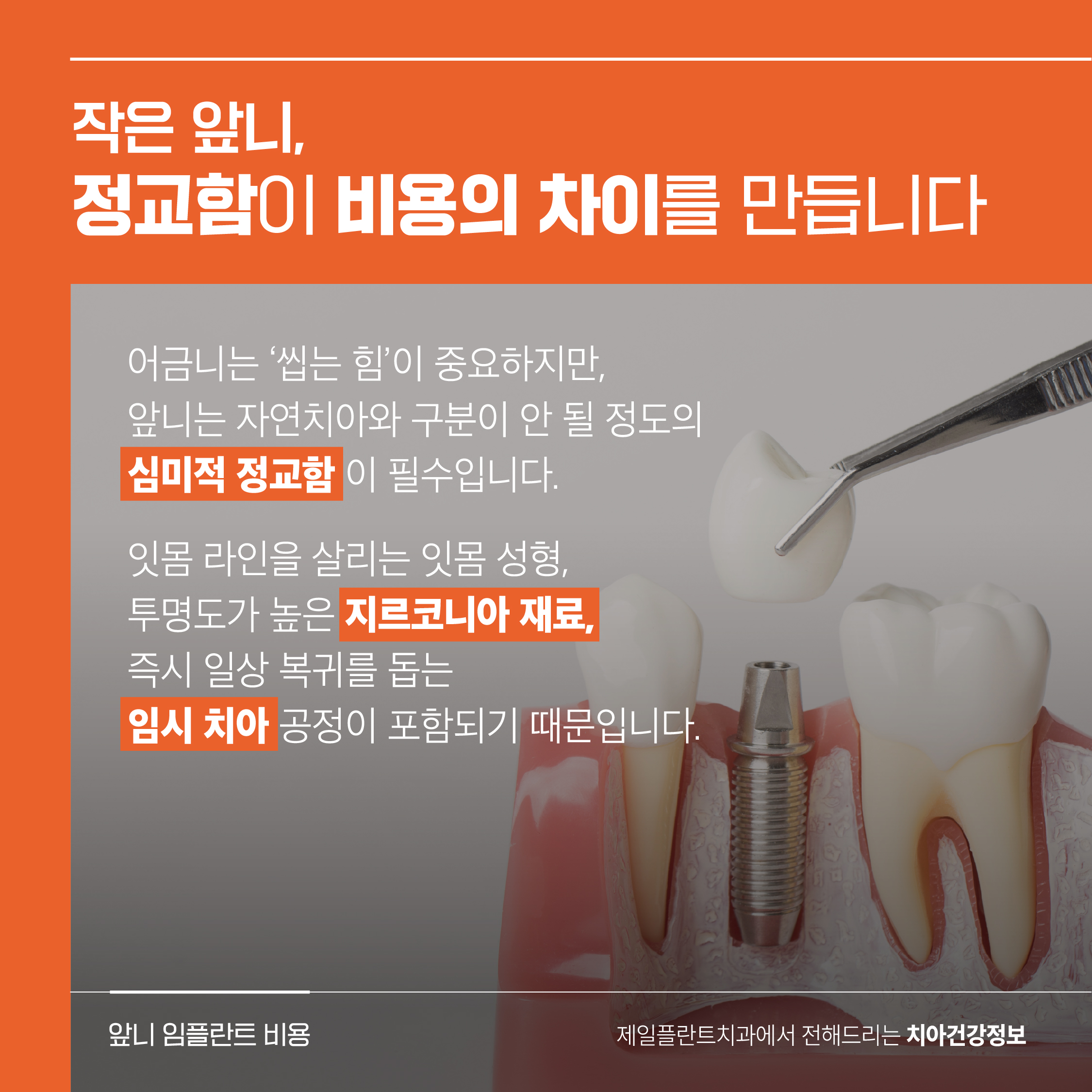 d529c43291a93.jpg