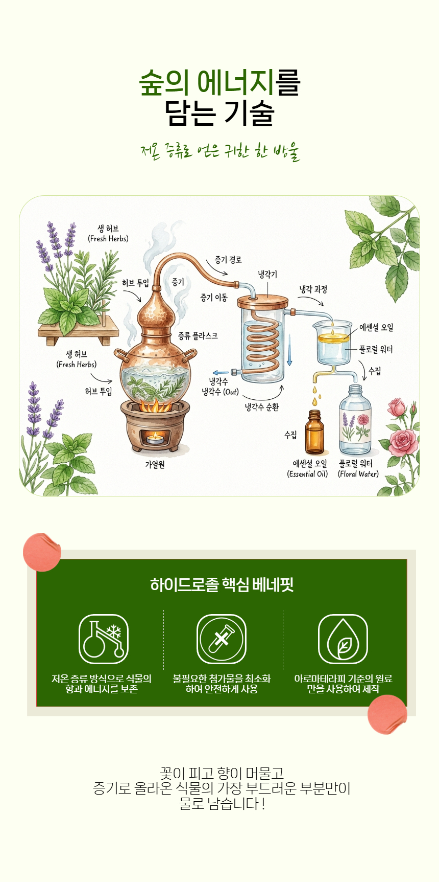 포레스트레이디 하이드로졸 100ml 5종