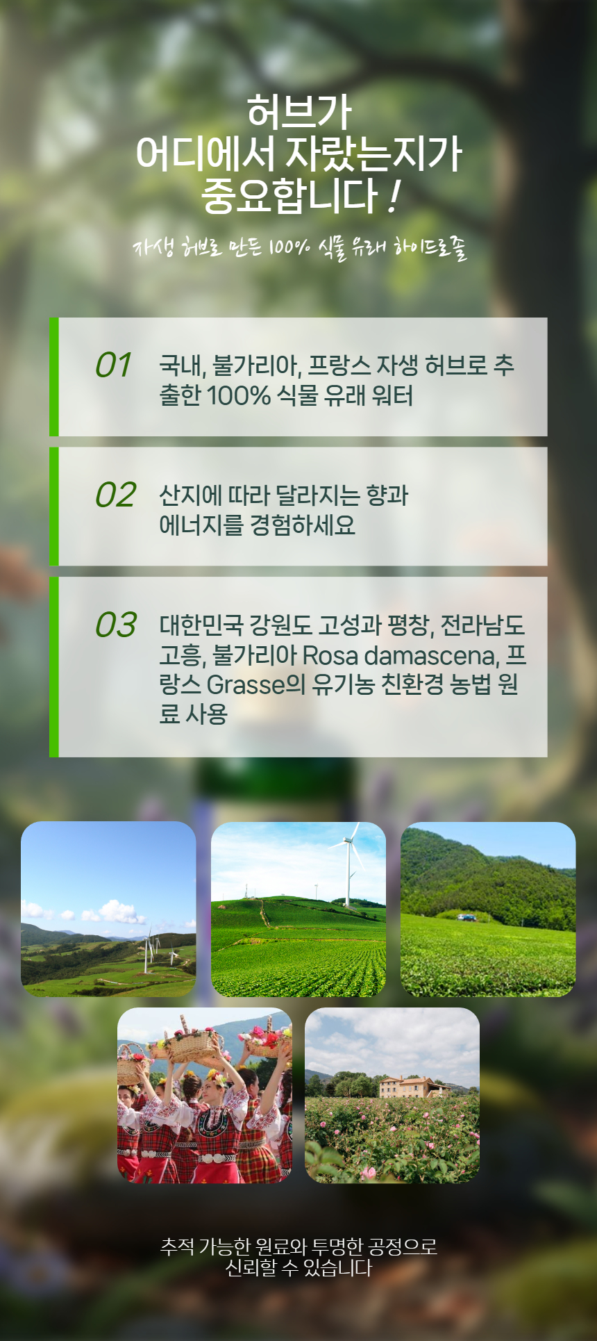 포레스트레이디 하이드로졸 100ml 5종