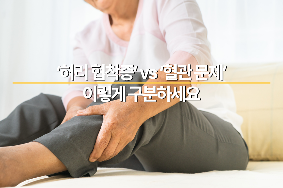 다리가저려요_불광동정형외과_다리저림.png