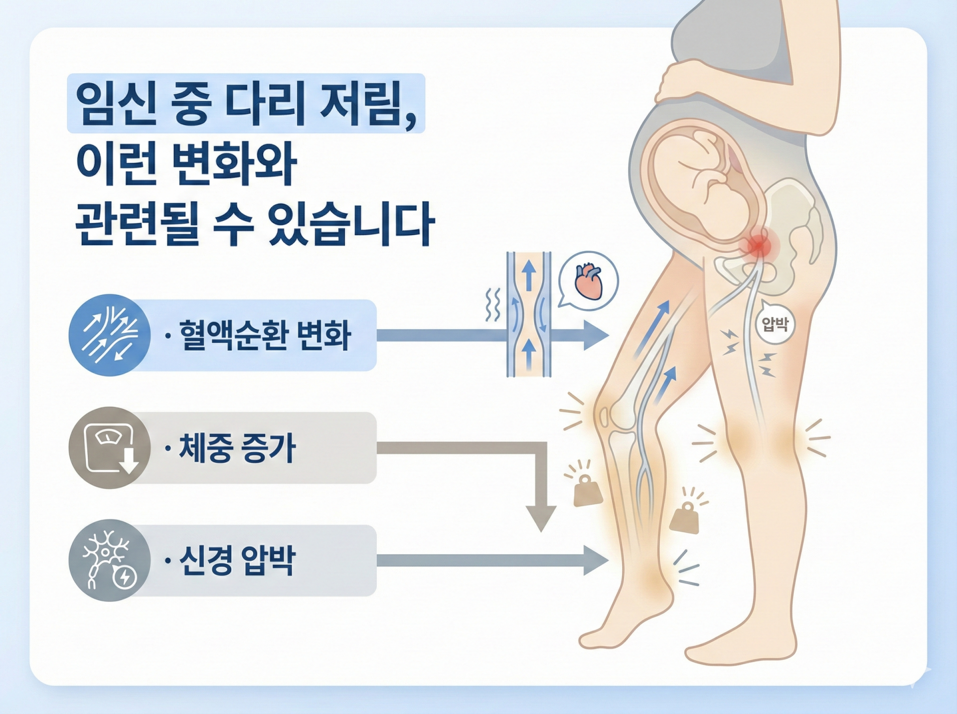 임산부다리저림 원인, 임신 중 혈액순환 변화와 신경 압박 설명
