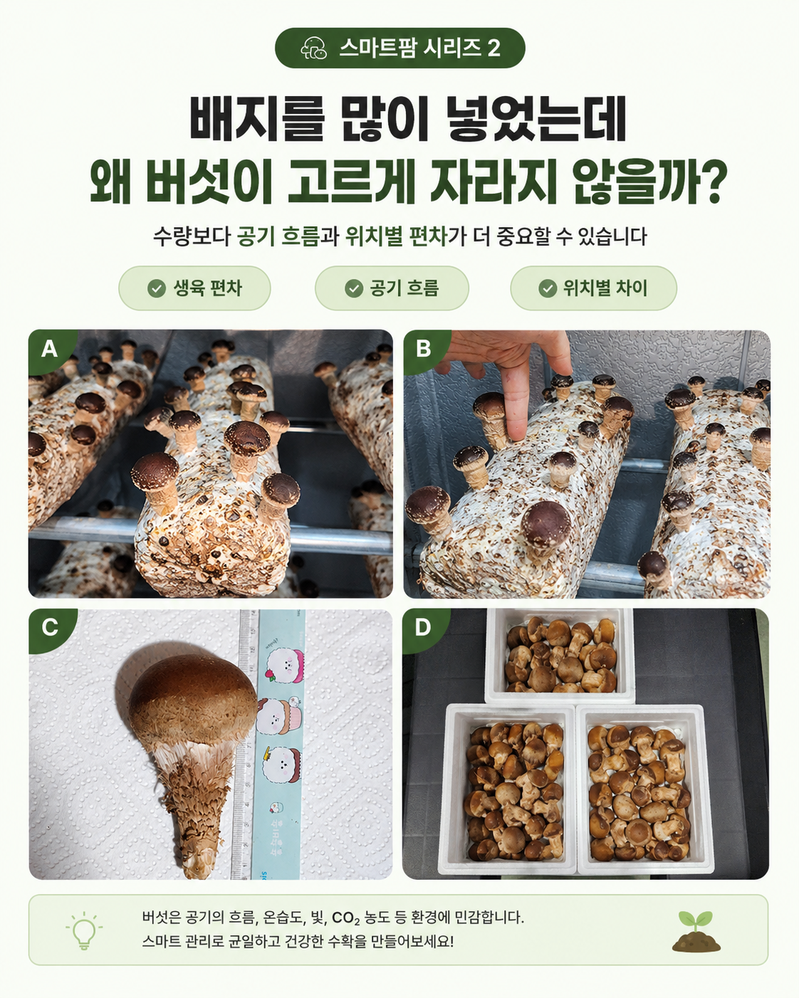 ChatGPT Image 2026년 7월 27일 오후 04_42_07 (4).png