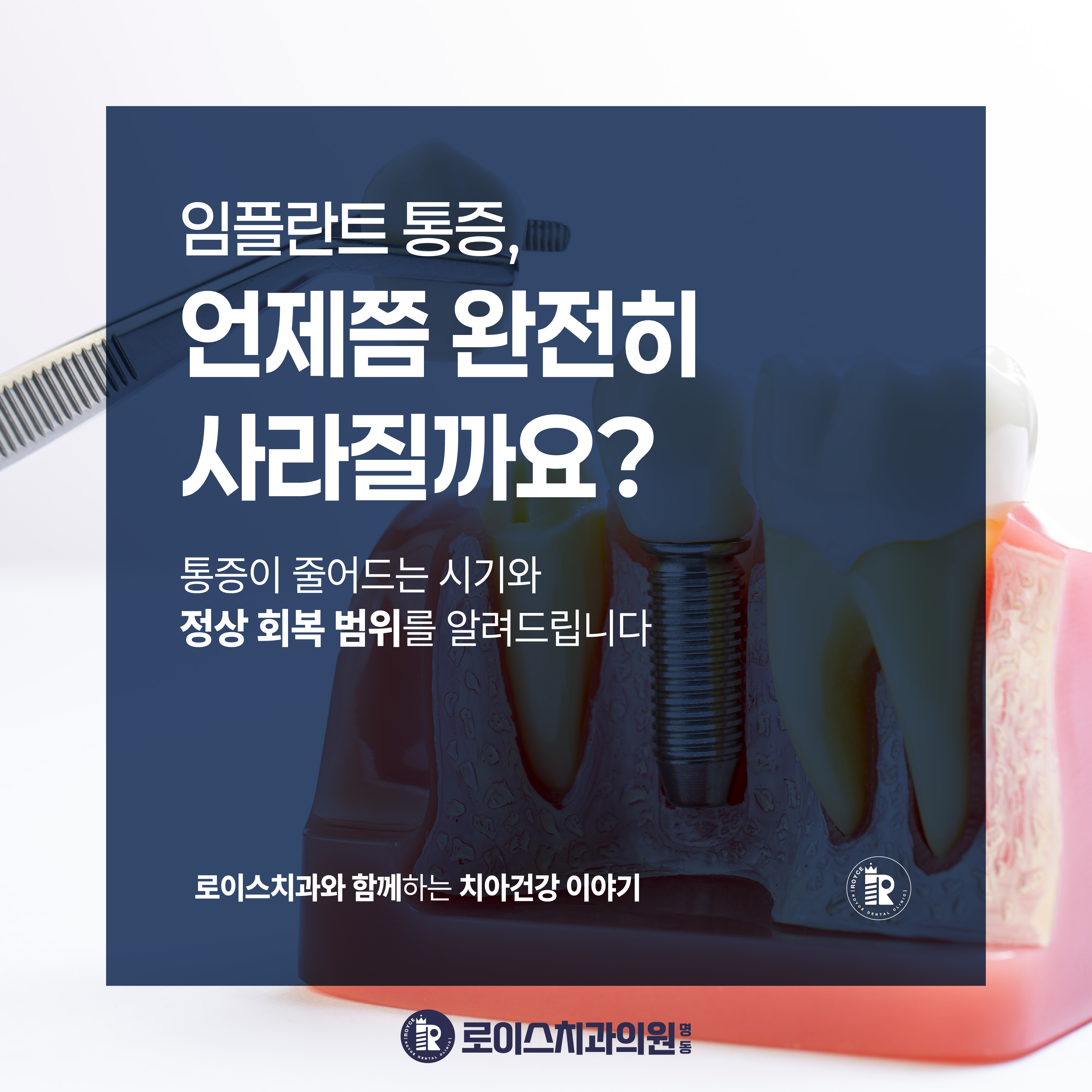 de77969a45ab5.jpg