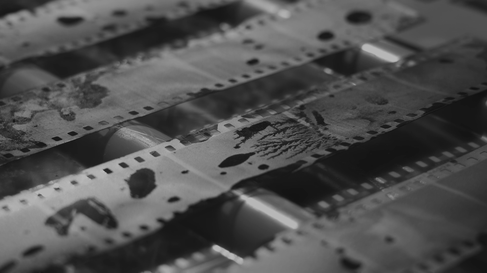 2b535c82c41f9.png