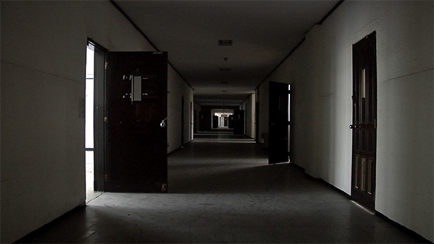 4417d626249f2.jpg