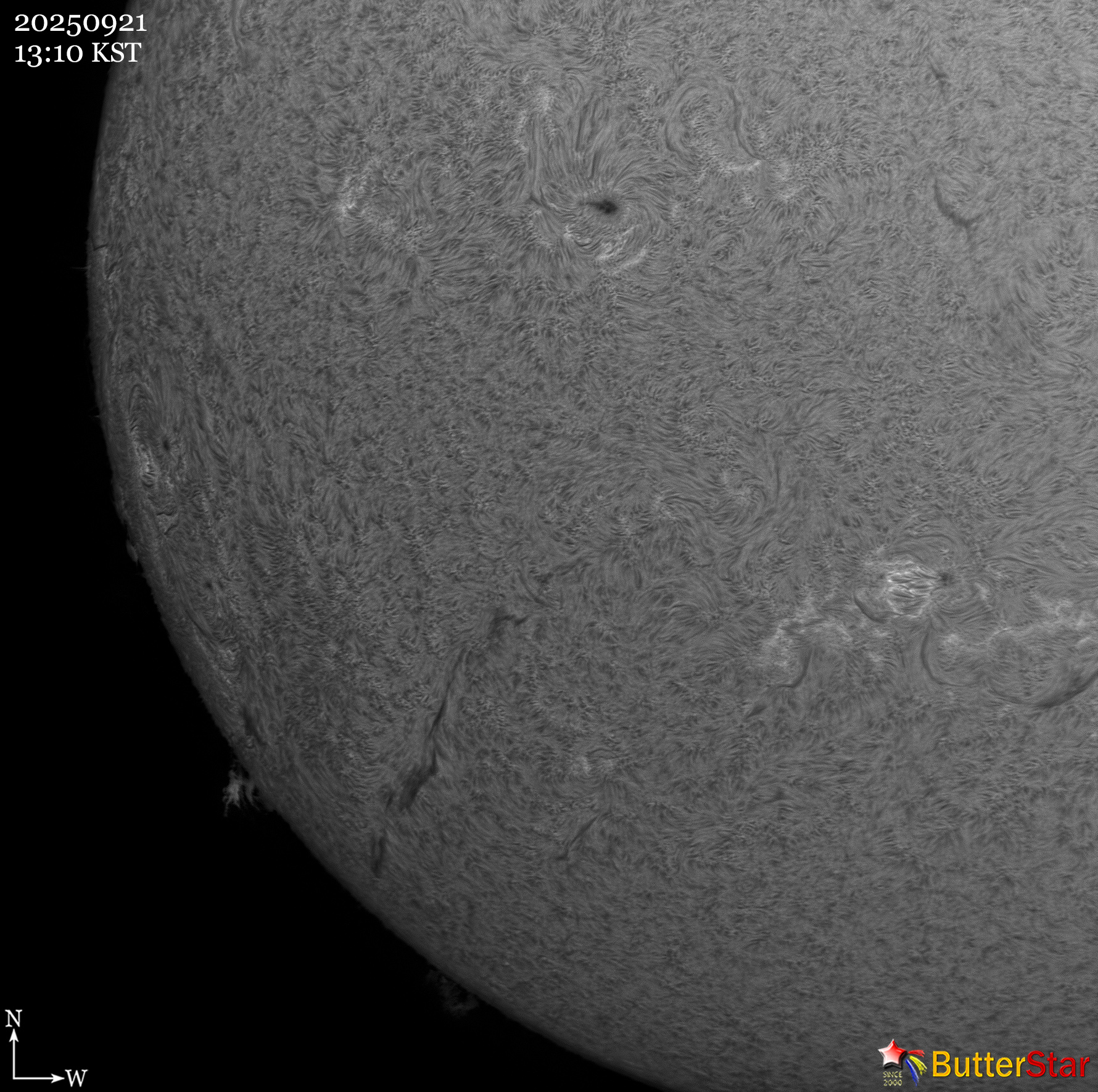 28929d64241e7.jpg
