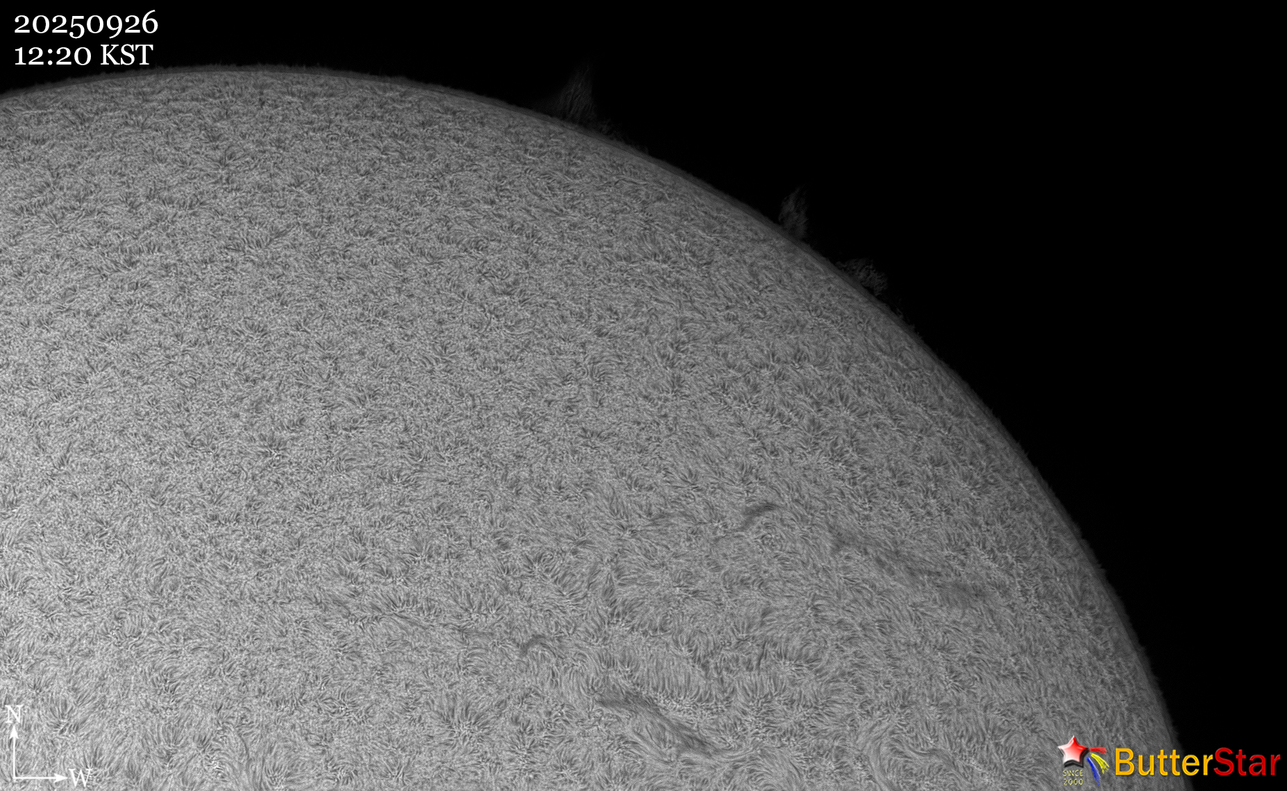 82f8d044e26af.jpg