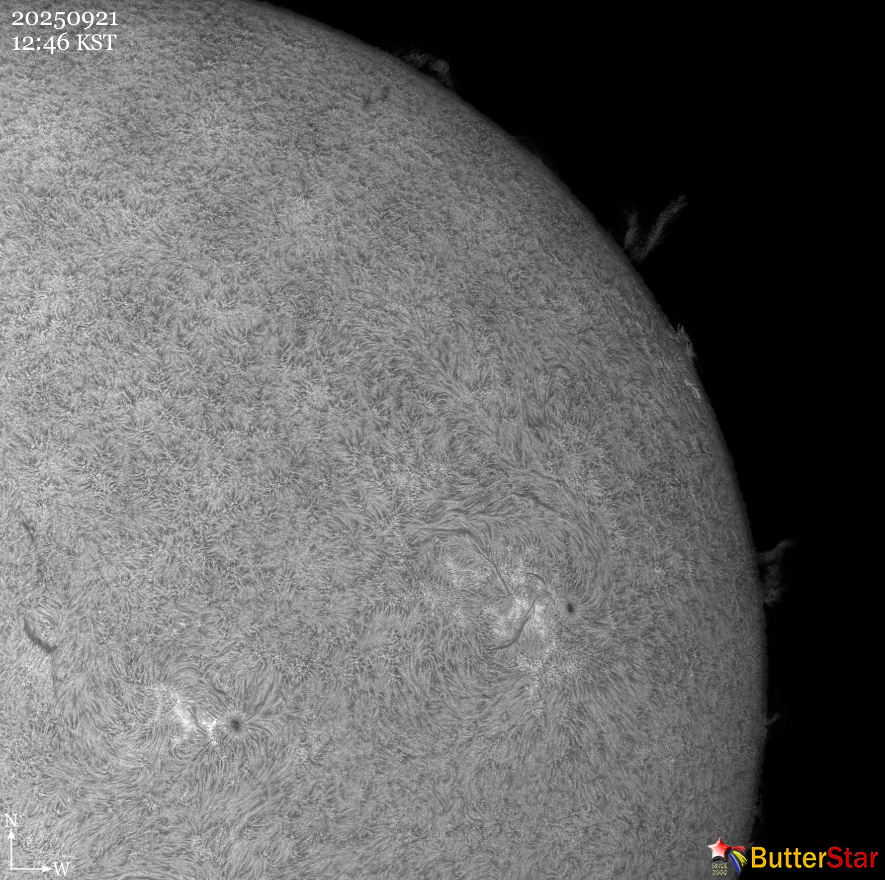 d49b5e7234ace.jpg
