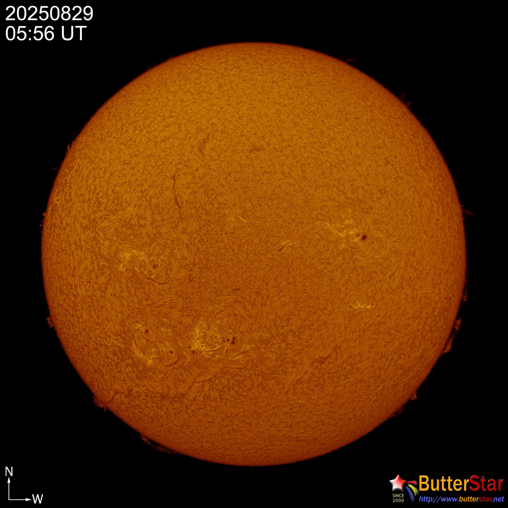 e52256eea8e94.jpg
