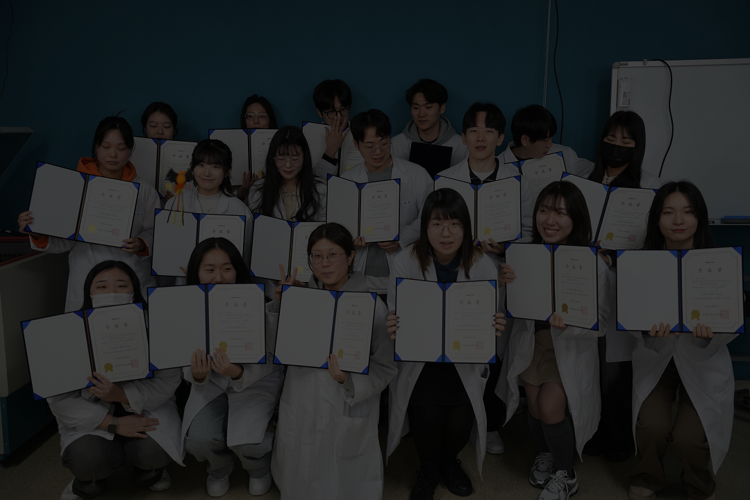 취업캠프 이미지