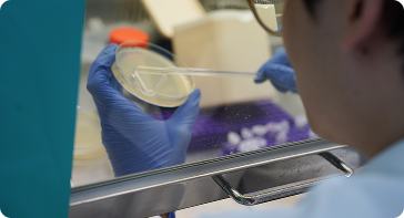 308시간 실험 실습