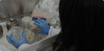 바화산기 트랙.png