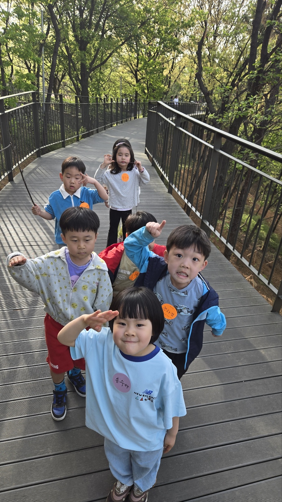 f6fb87341bfd5.jpg