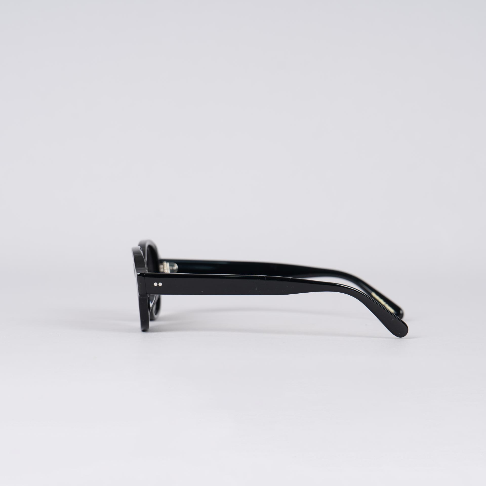9653 Sunglasses (모델컷)