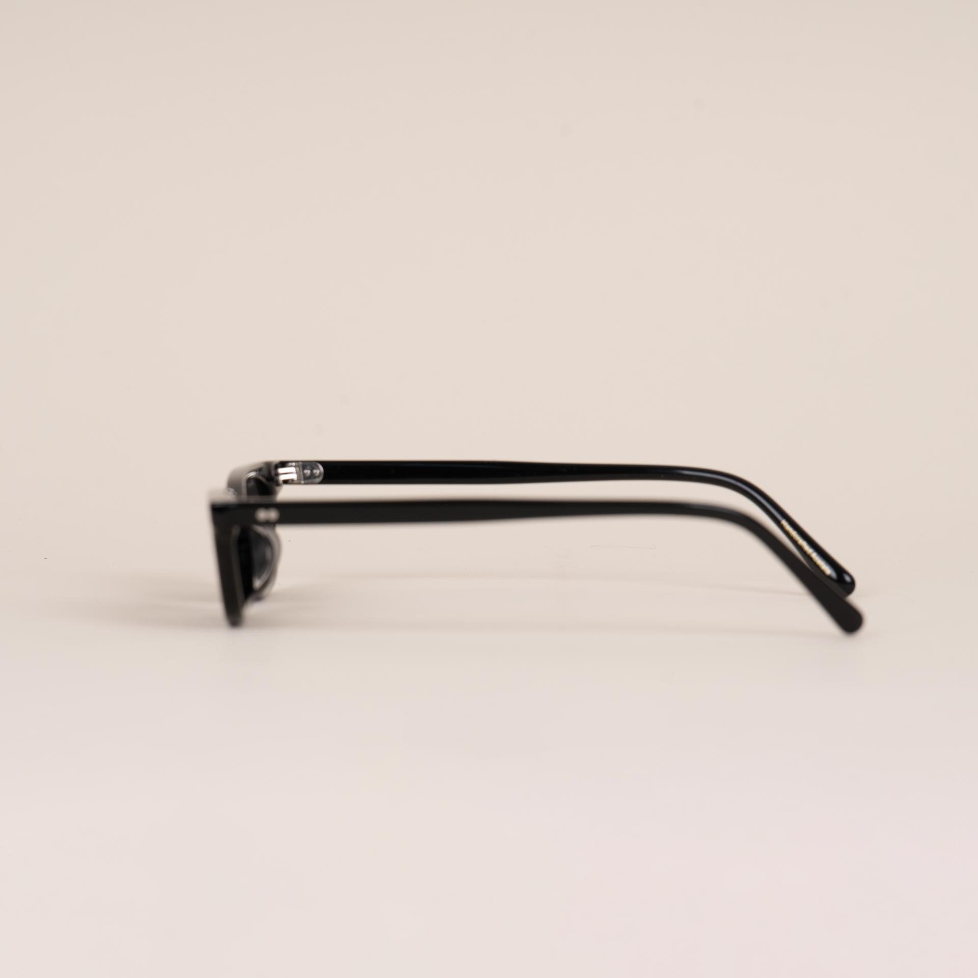 9663 Sunglasses
