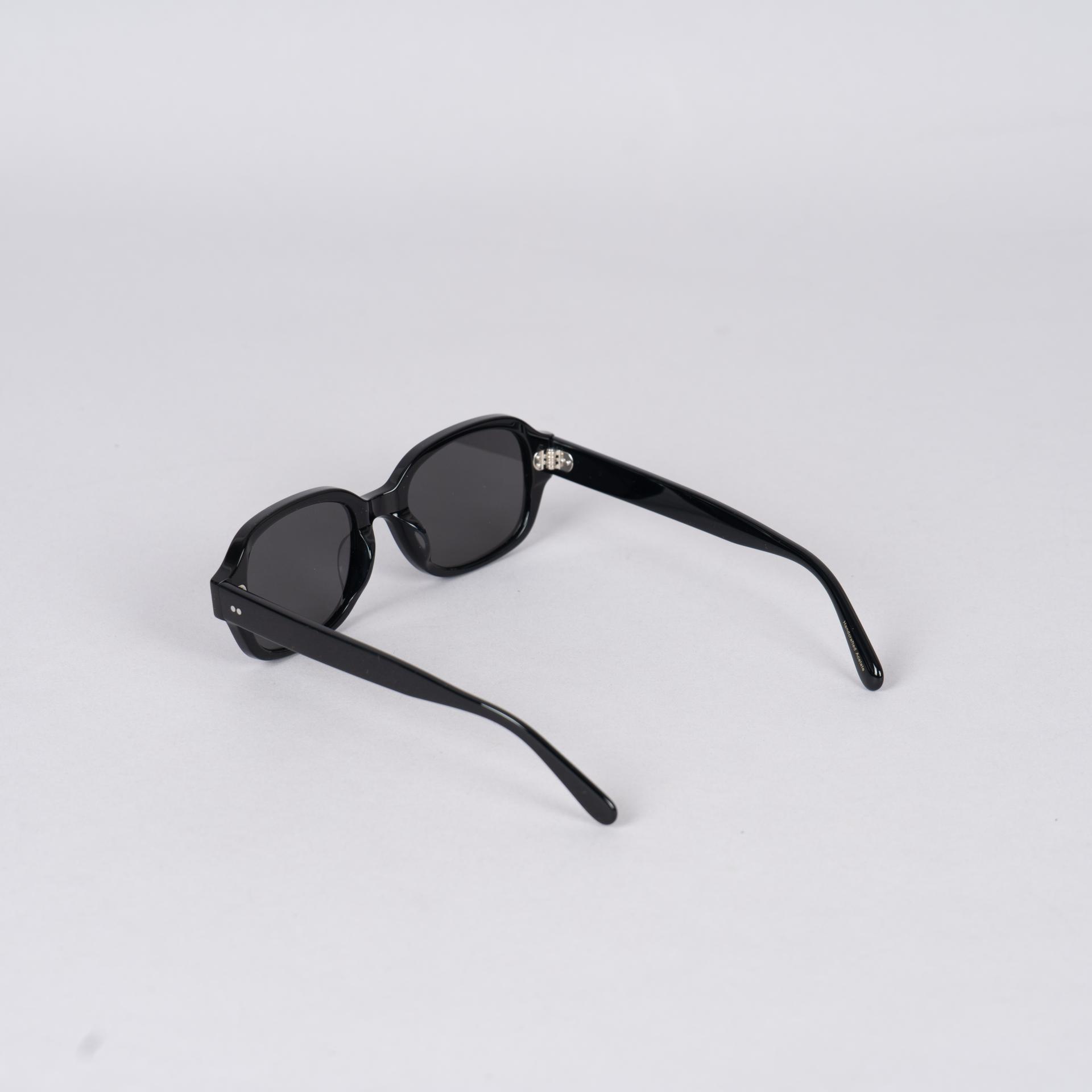 9653 Sunglasses (모델컷)