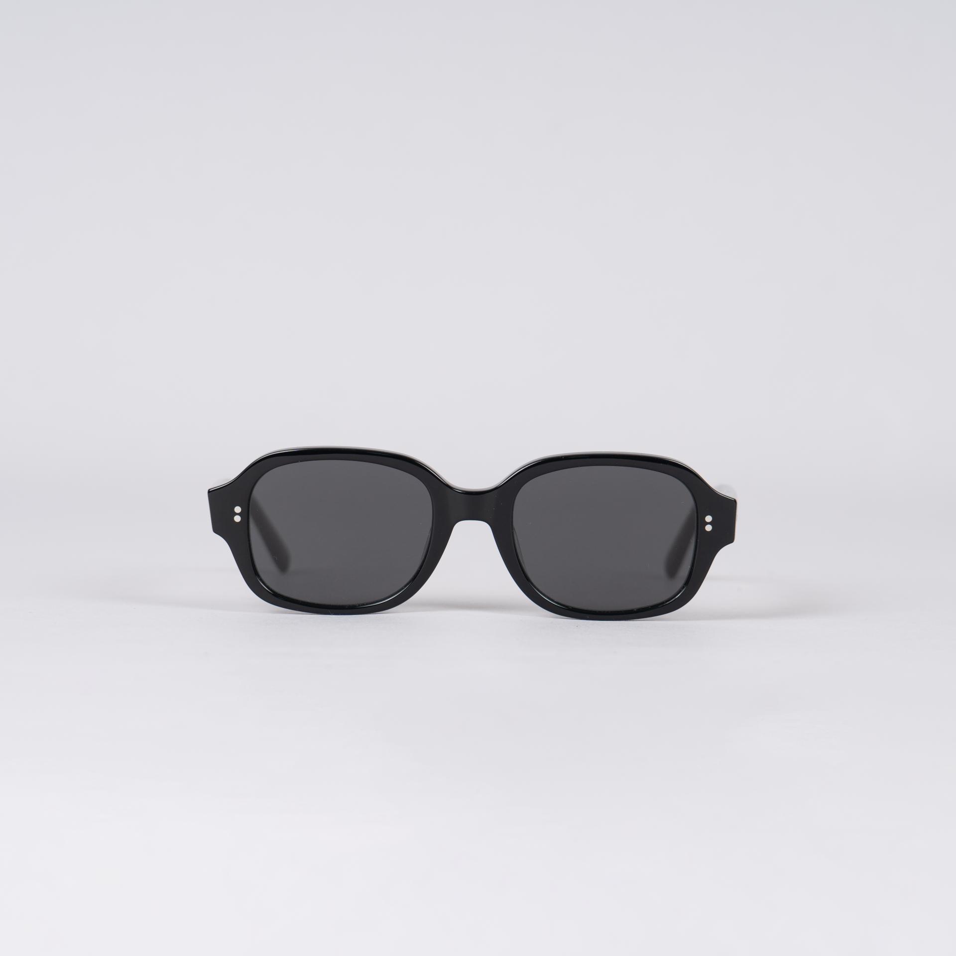 9653 Sunglasses (모델컷)