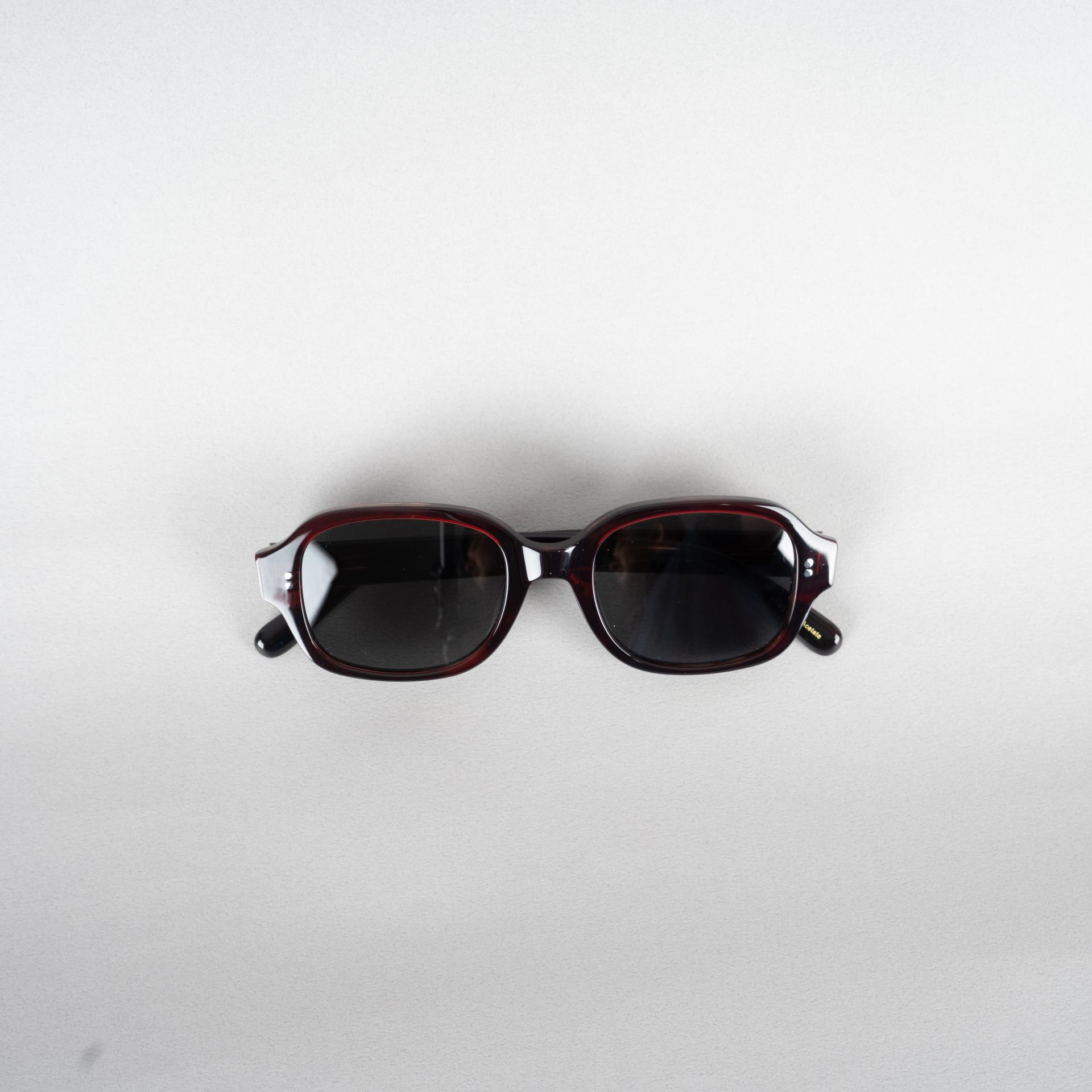 9653 Sunglasses (모델컷)