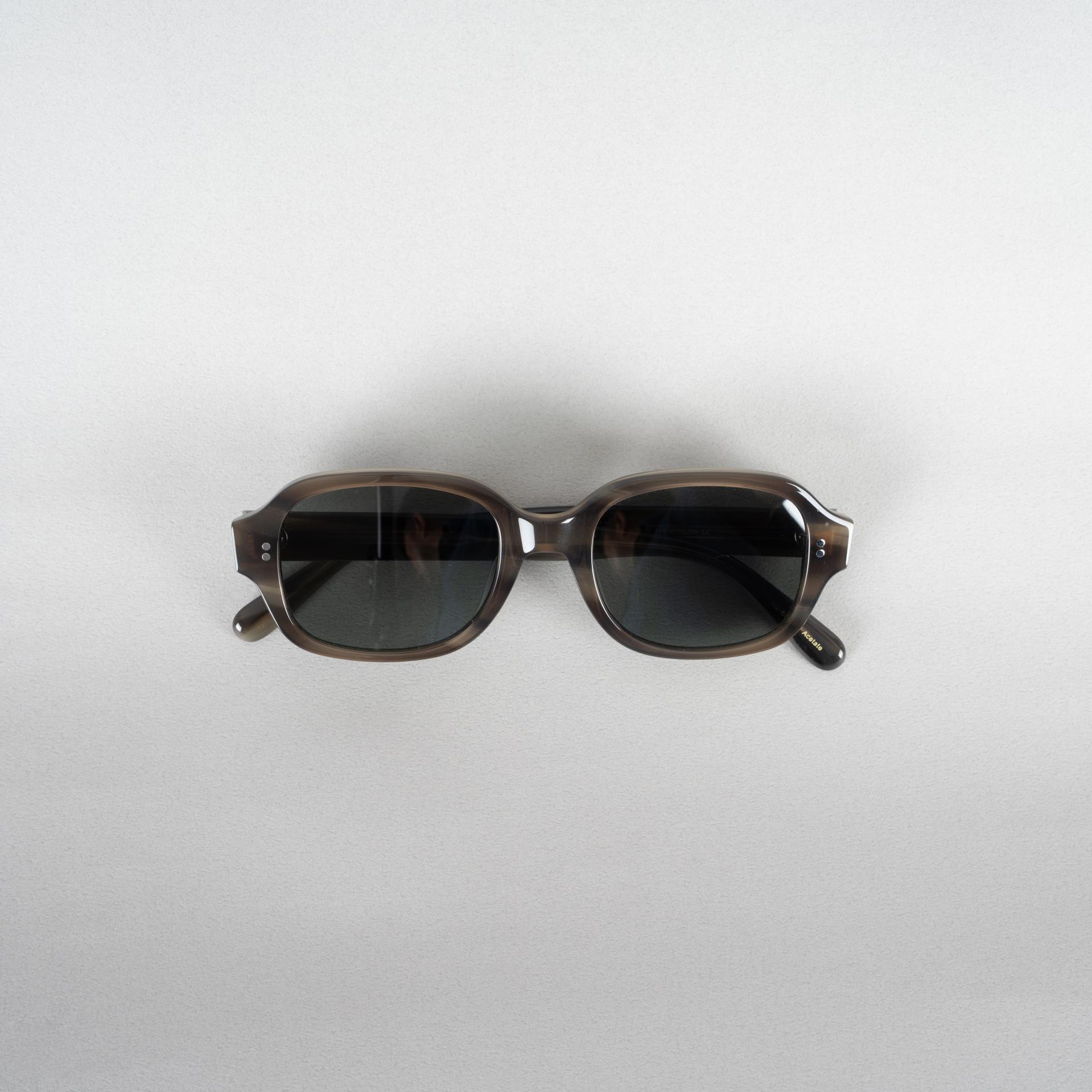 9653 Sunglasses (모델컷)
