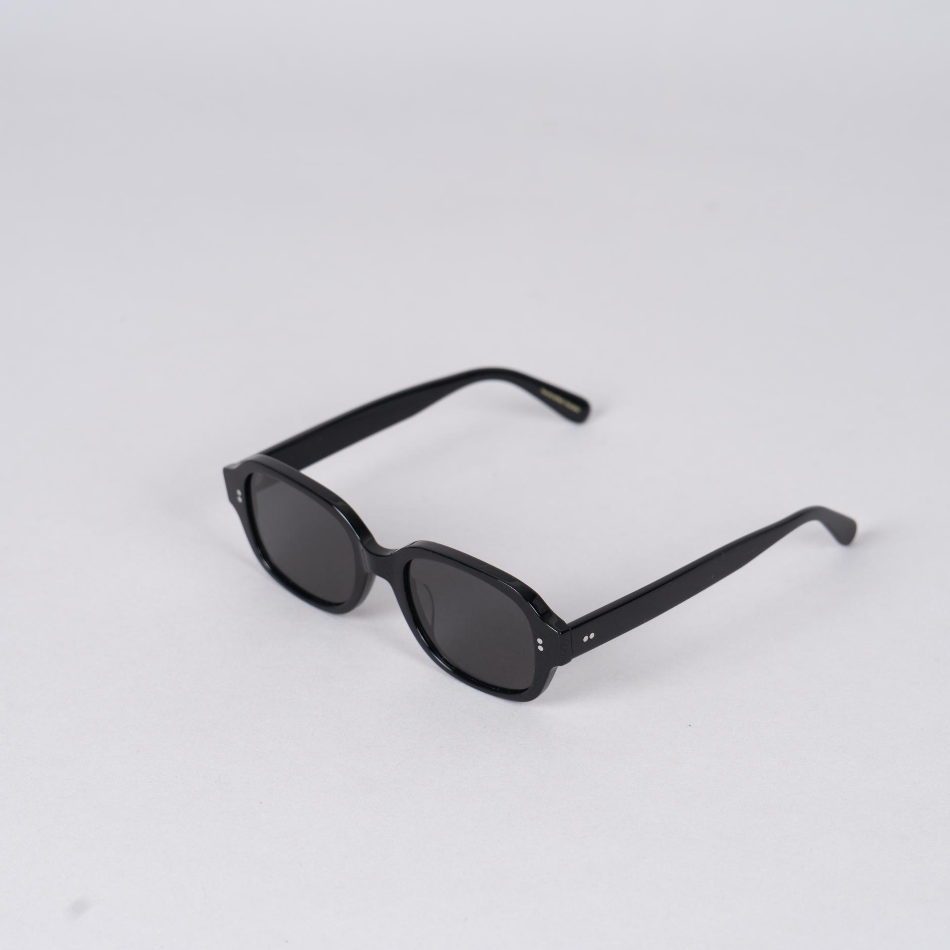 9653 Sunglasses (모델컷)