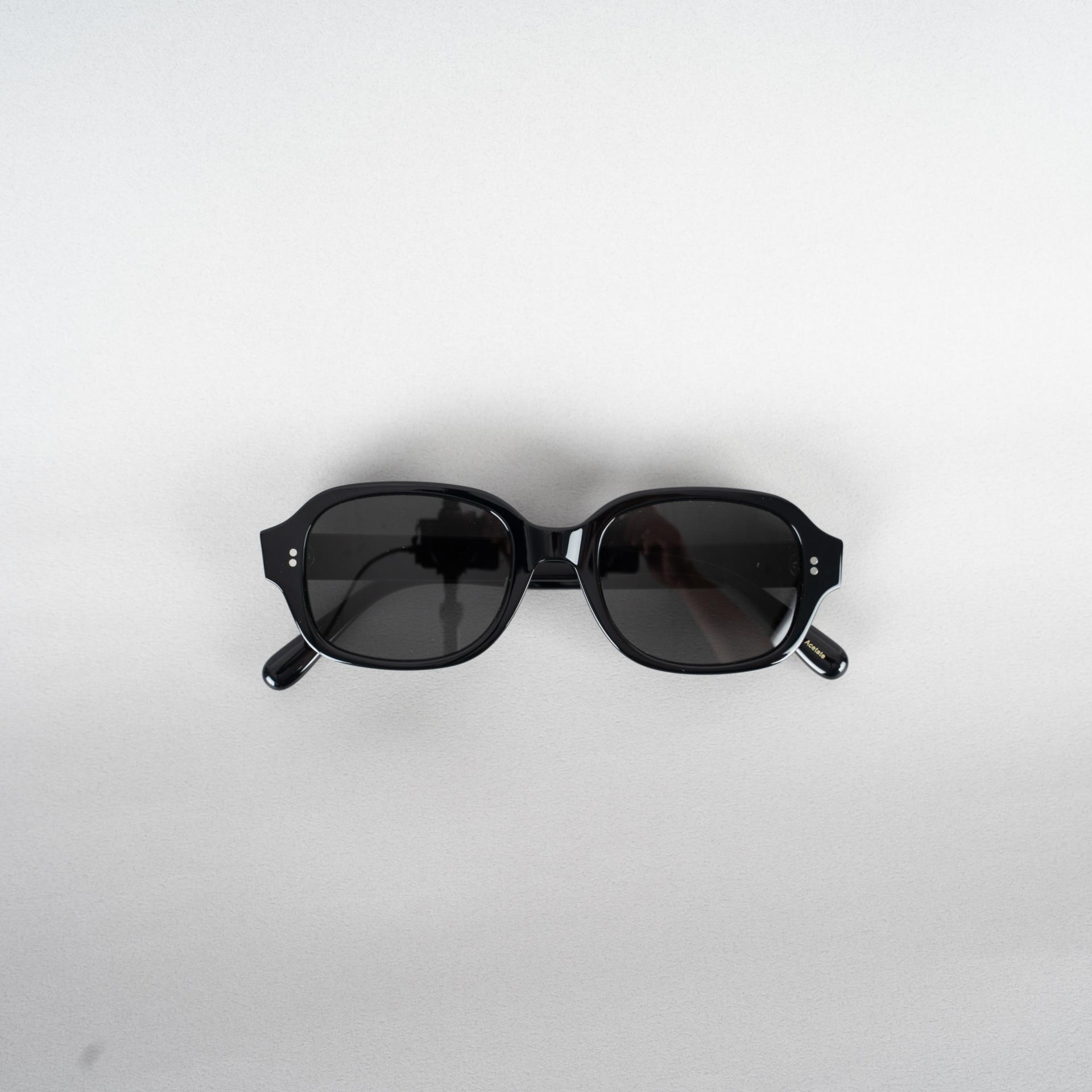 9653 Sunglasses (모델컷)