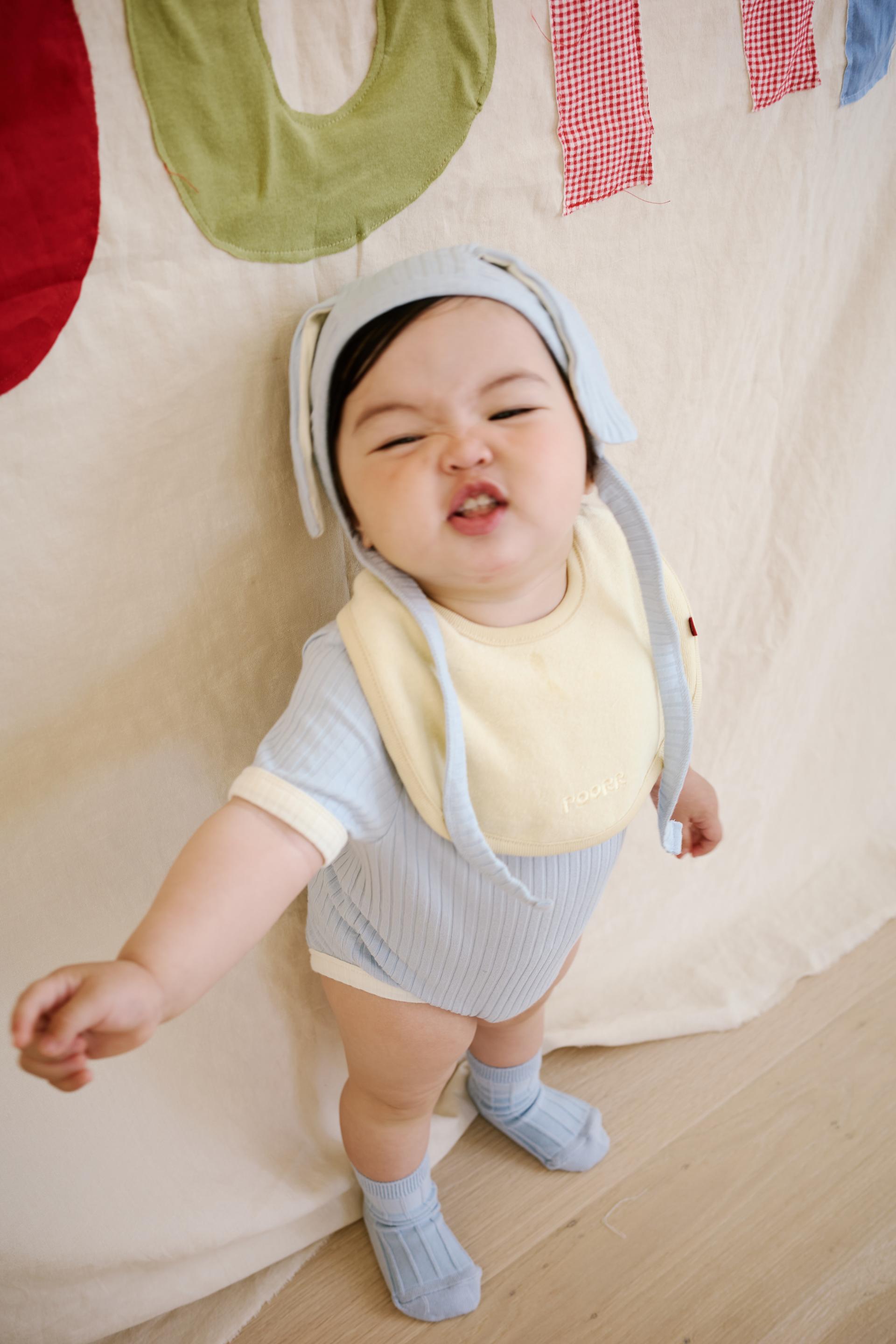 에어테리 빕