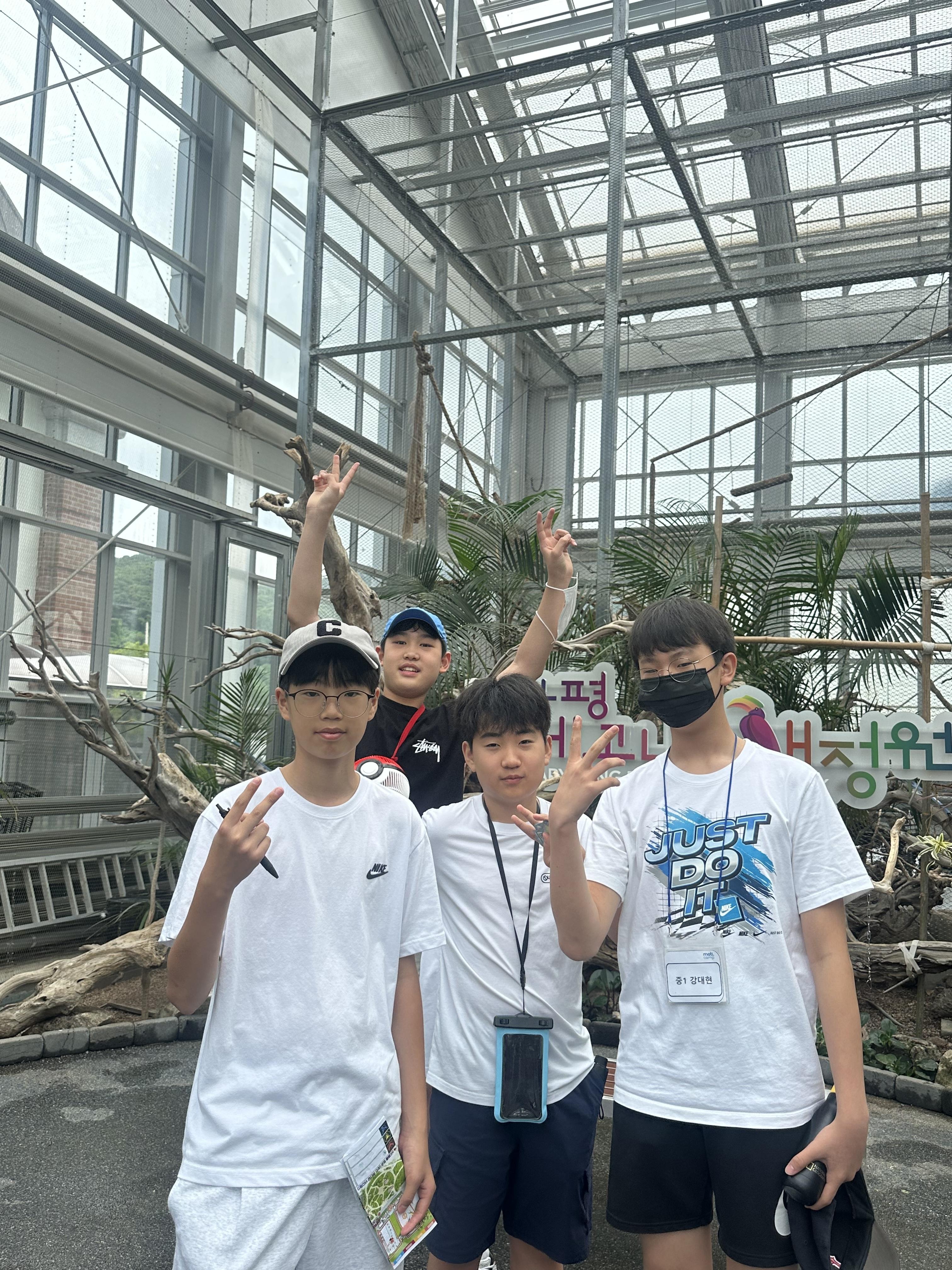 c7d2b31139d96.jpeg