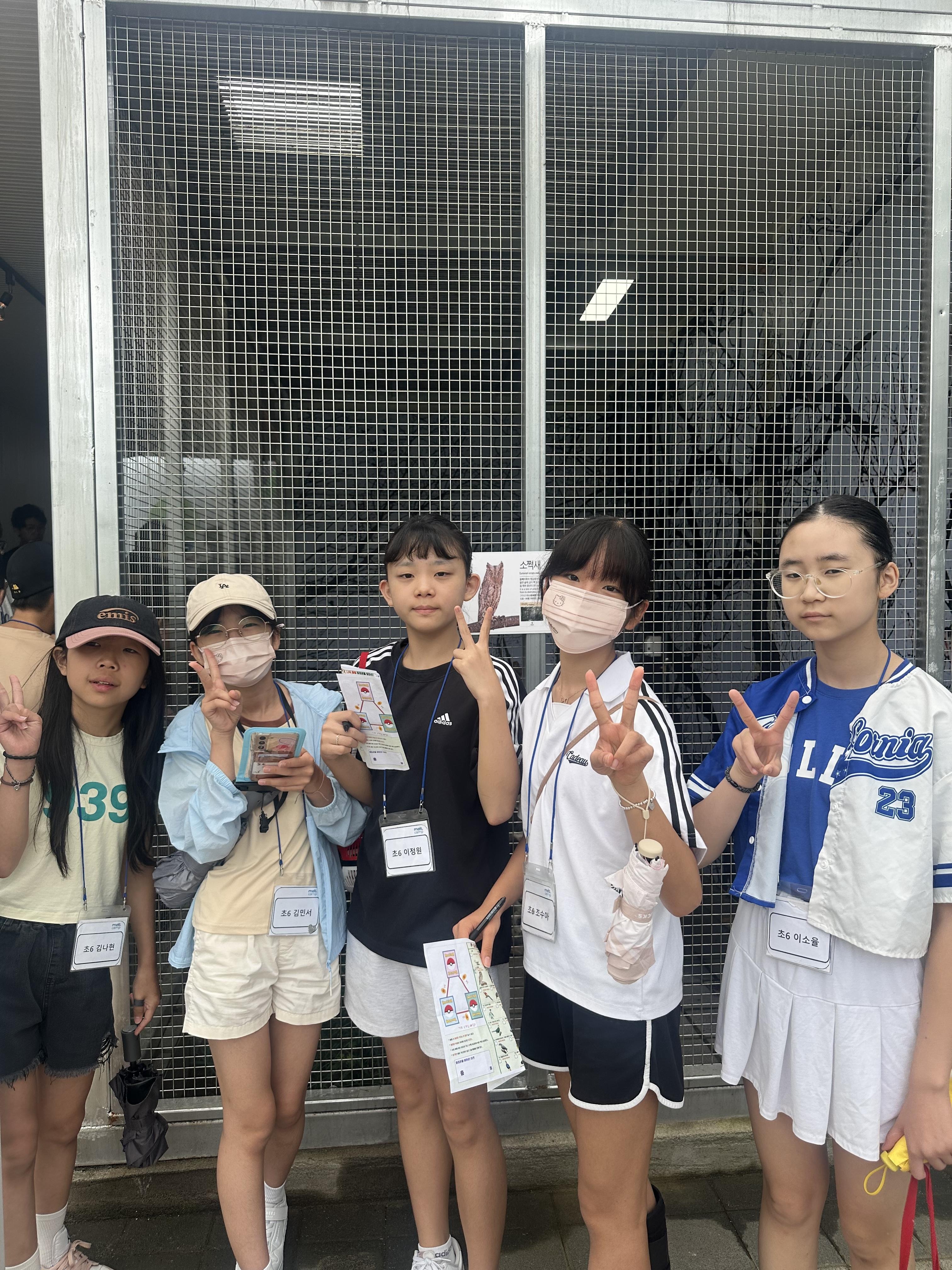 c84afac05dc6b.jpeg
