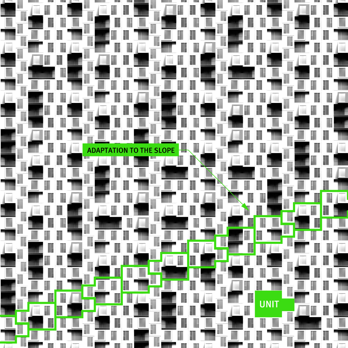 86e389bf5142e.jpg
