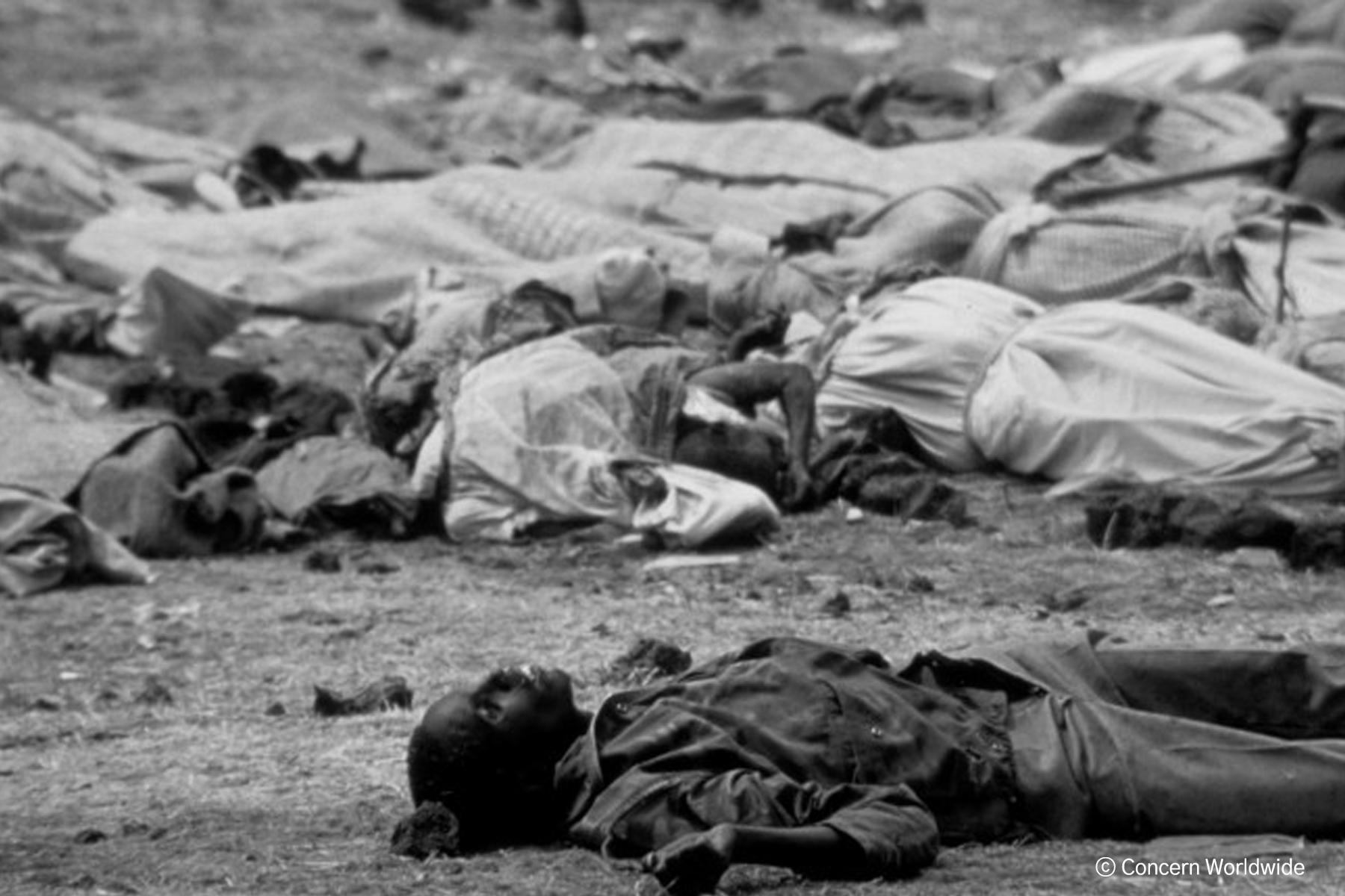 르완다 제노사이드_C.jpg