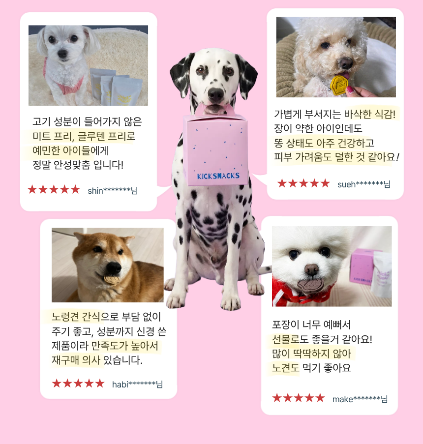 키키쿠키