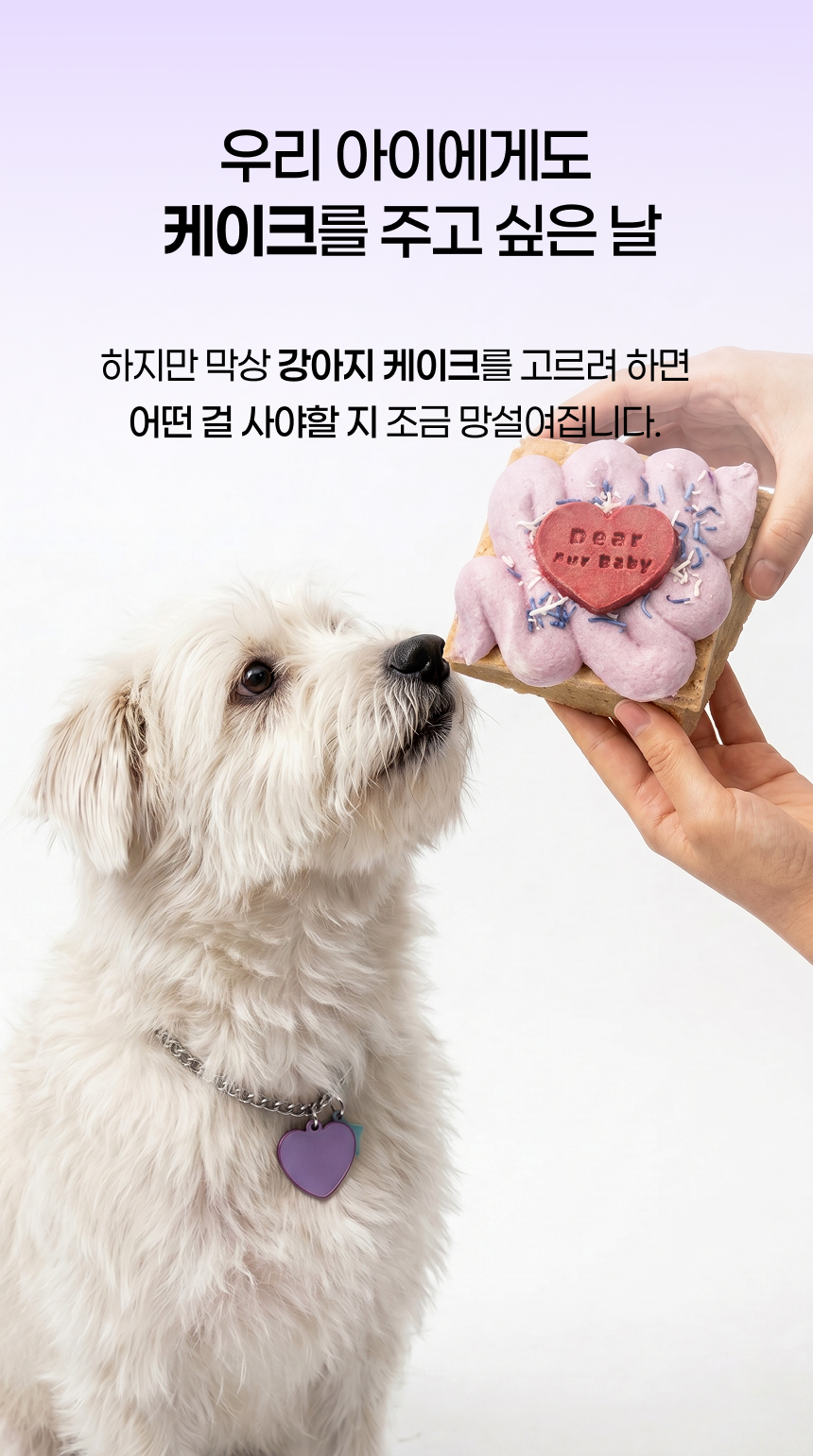 스퀘어 케이크
