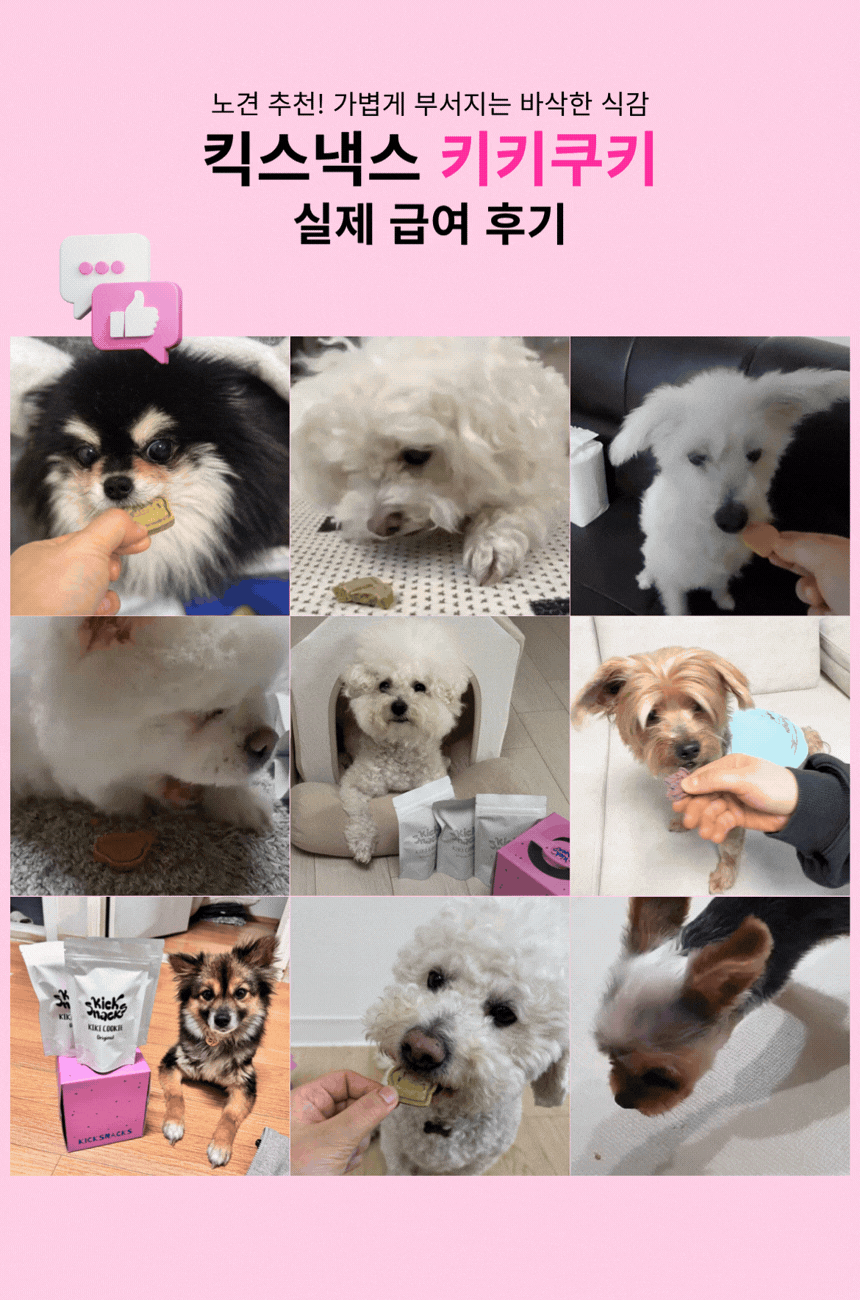 키키쿠키