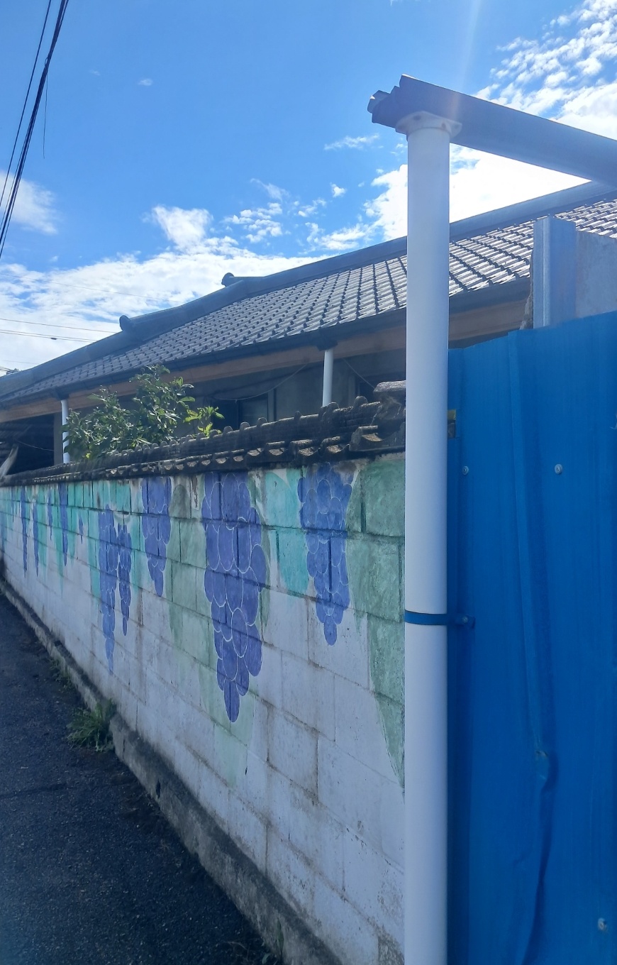 0529404ee4600.jpg