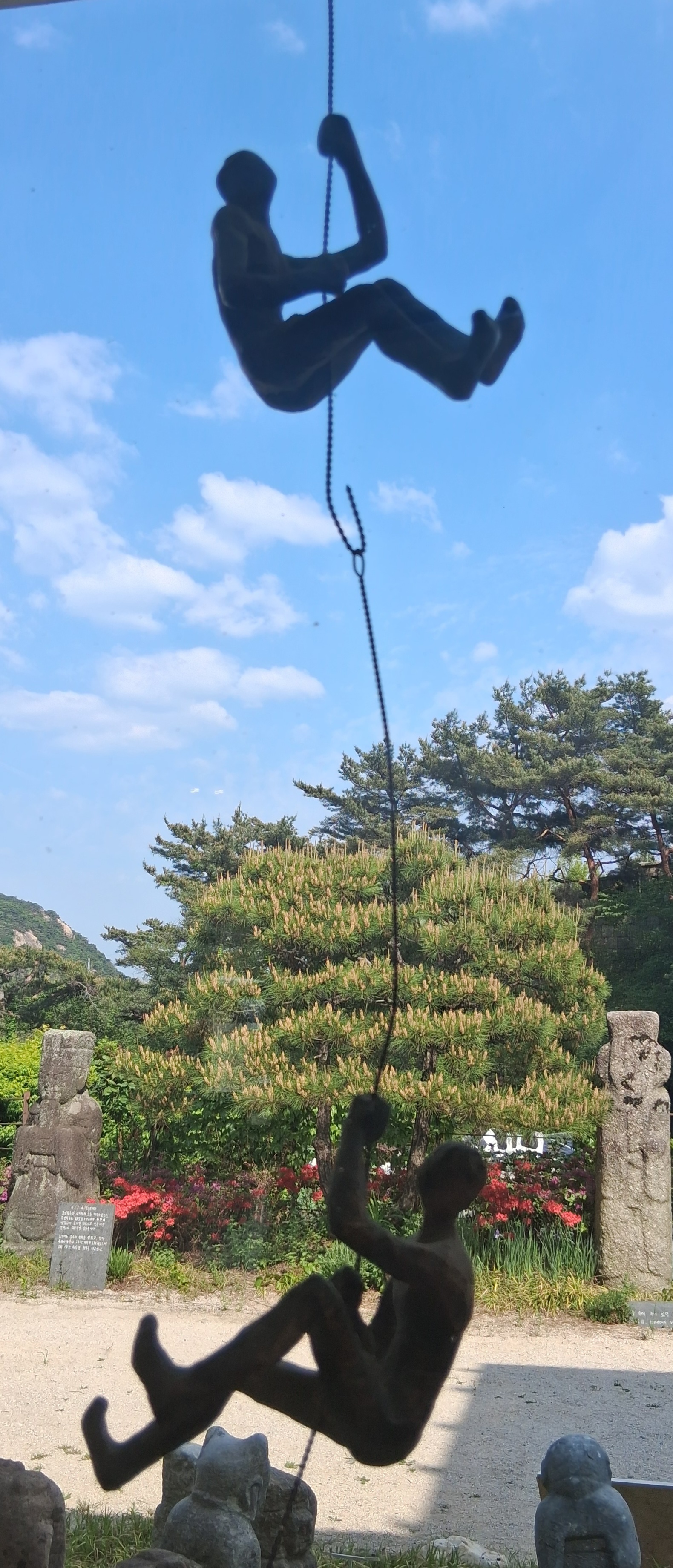 0cc54f5cc3f04.jpg