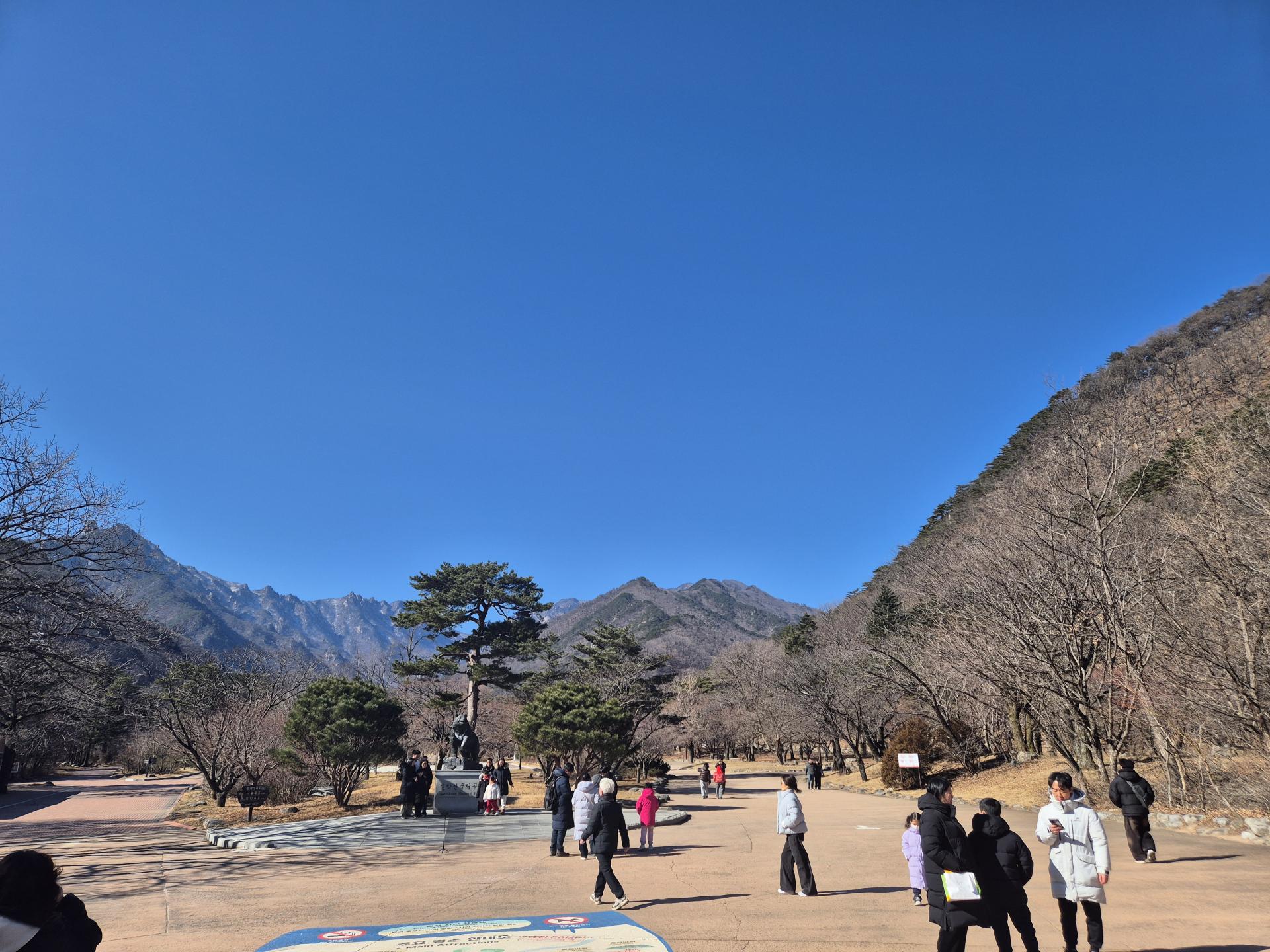 1183e8180d66a.jpg