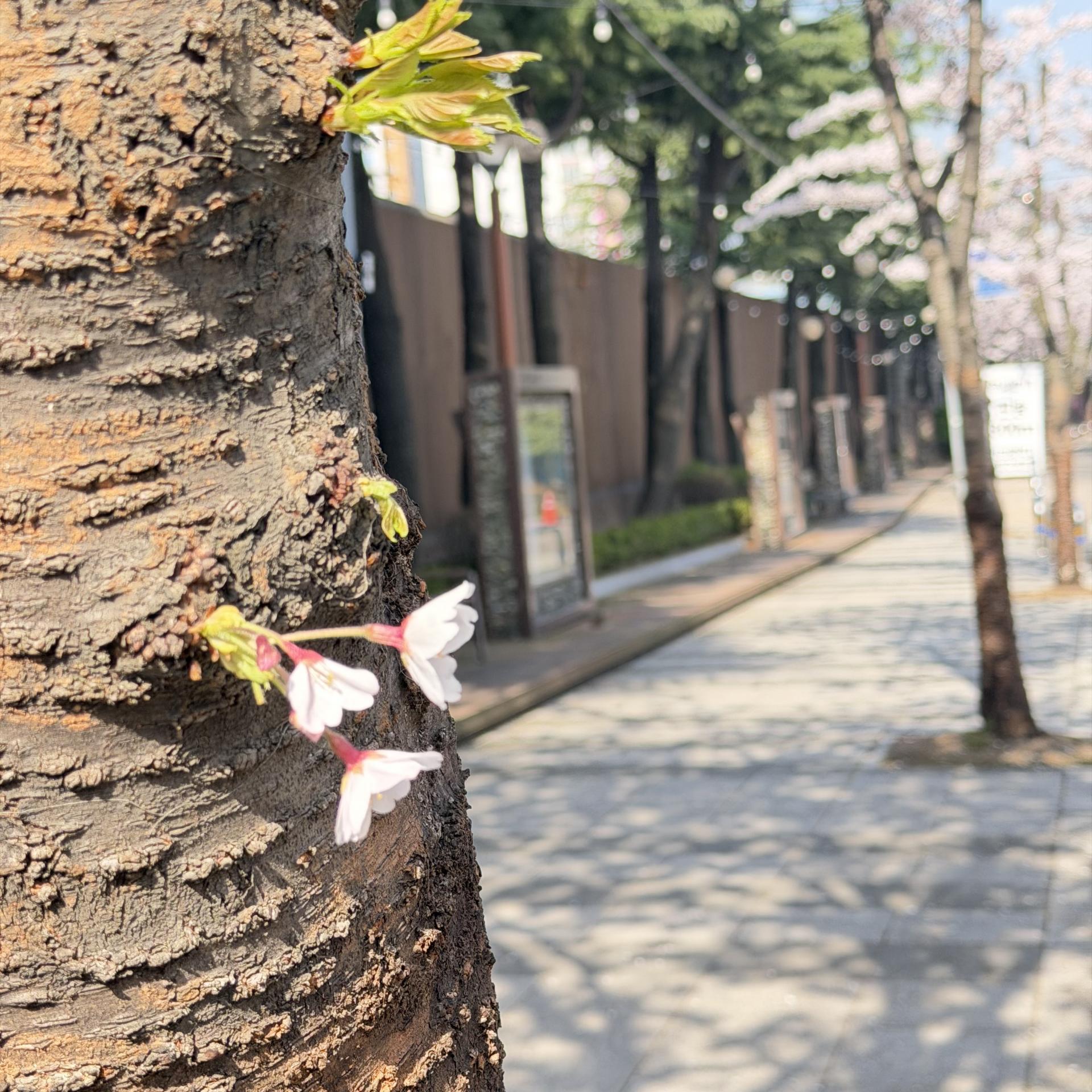 17043e5bfcdb1.jpg