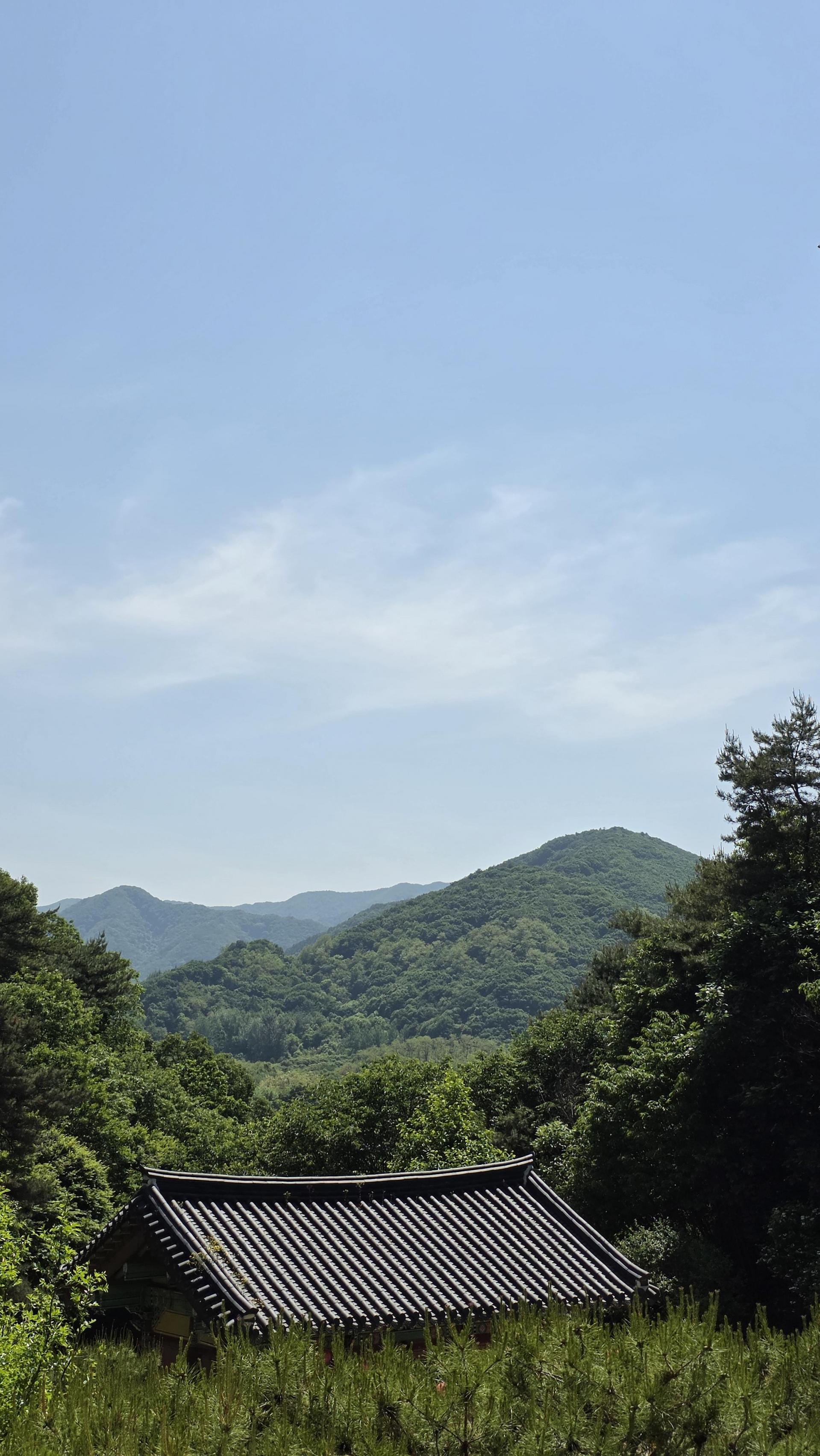 1852975d6a70b.jpg