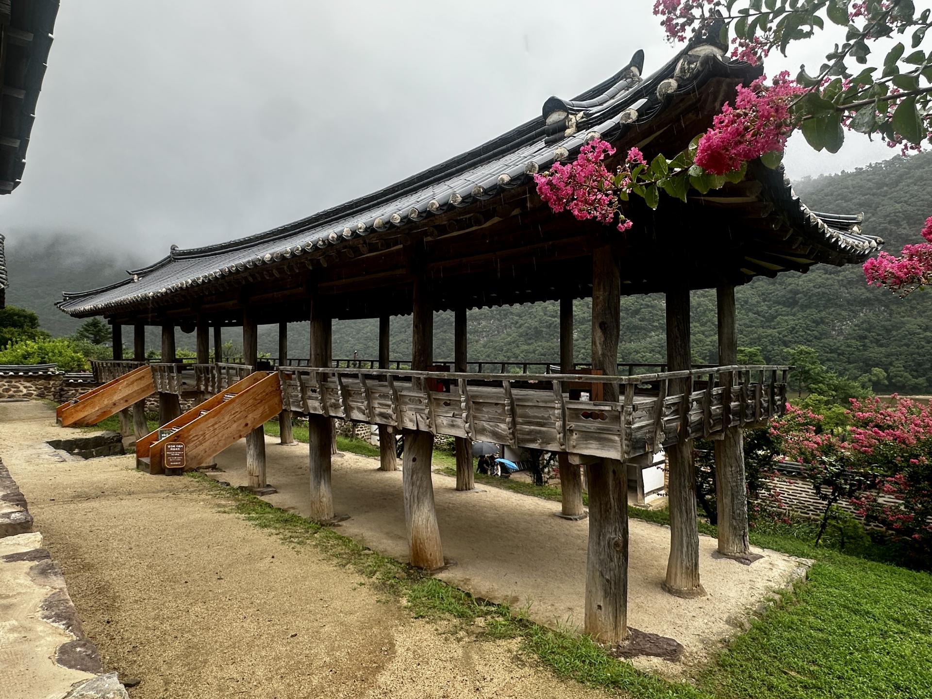 1e035279d819d.jpg